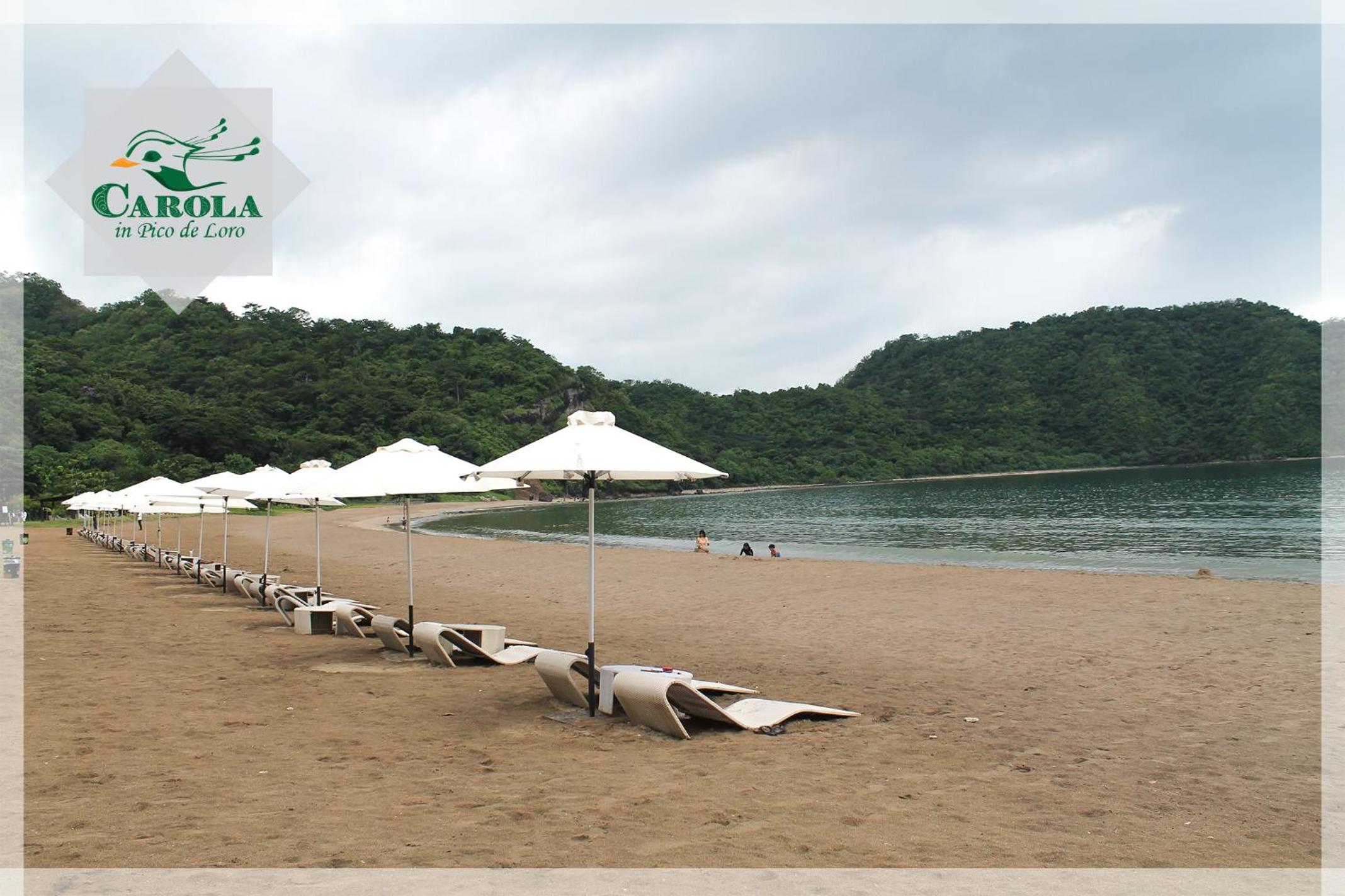 CAROLA in Pico de Loro view 5