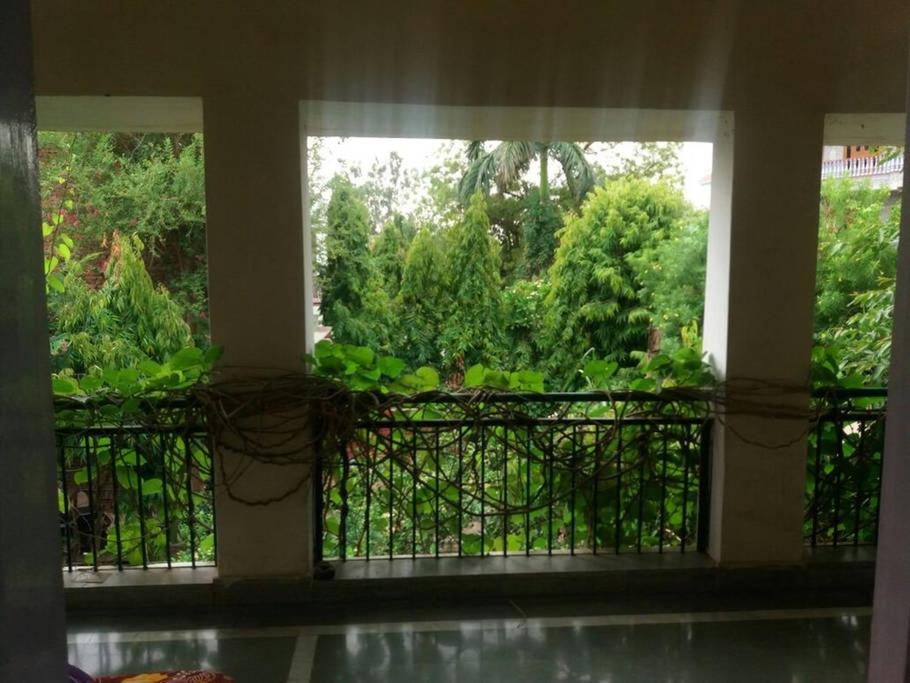 Jungle Lodge