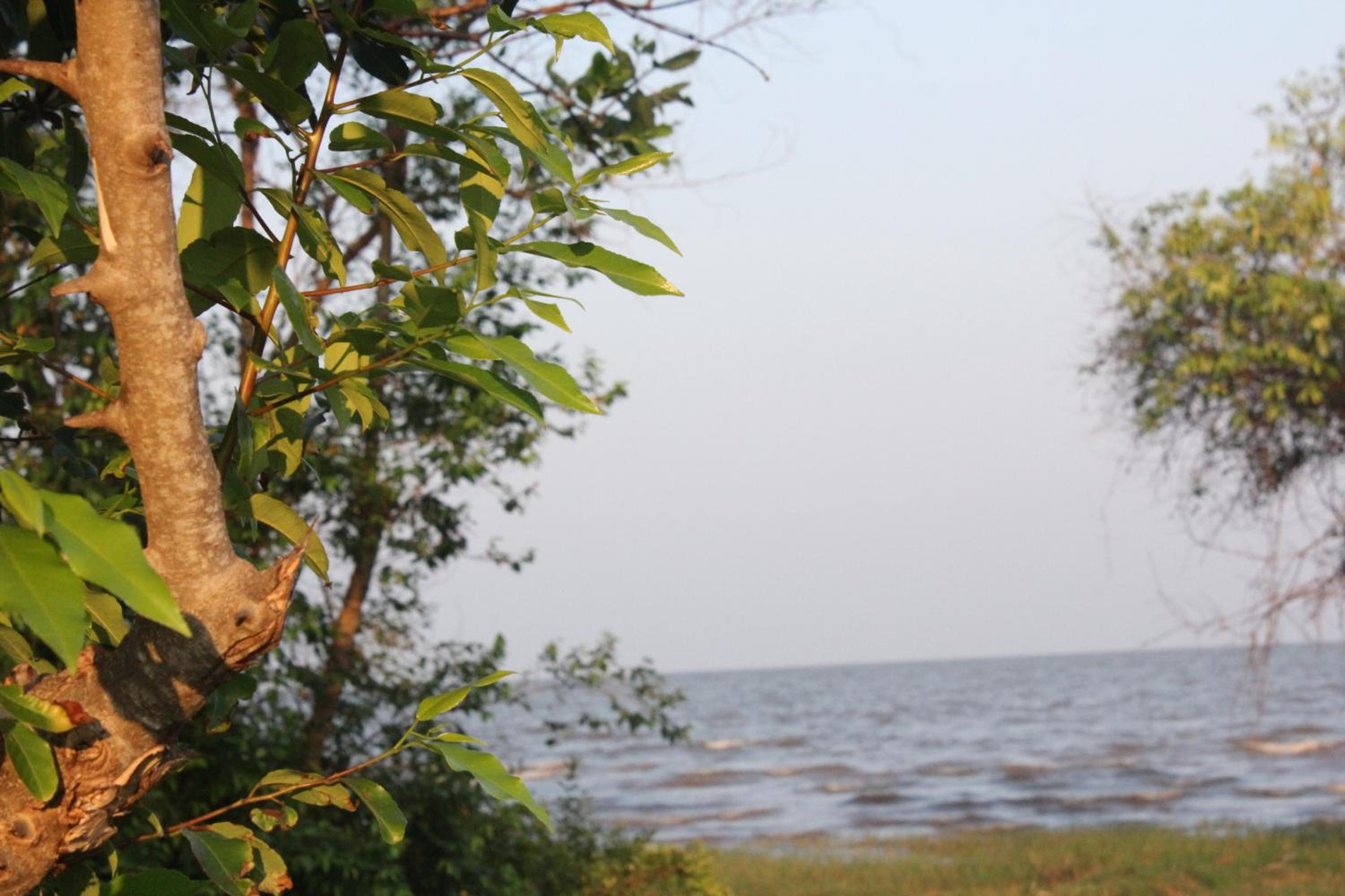 Rimlay Park Resort