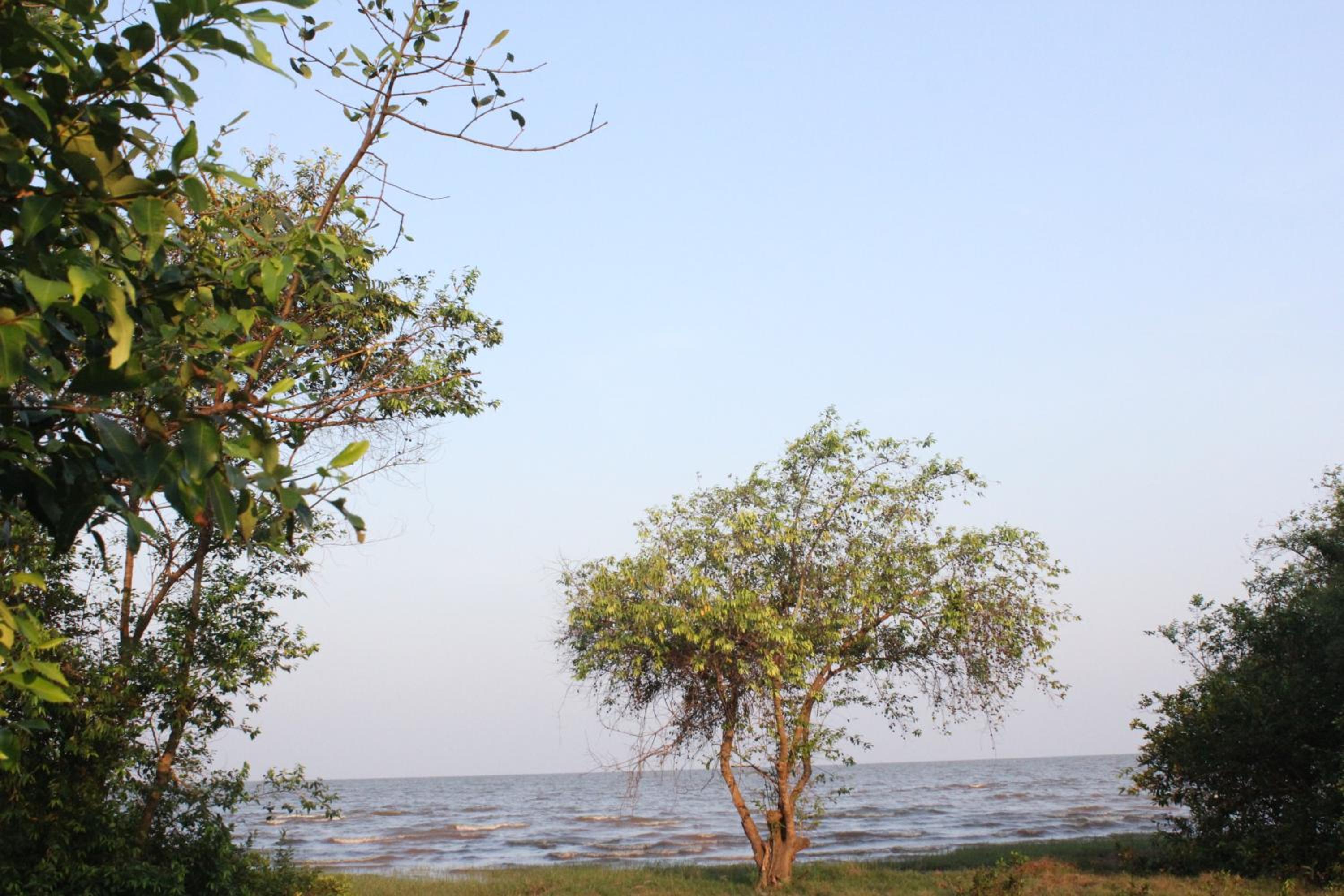 Rimlay Park Resort