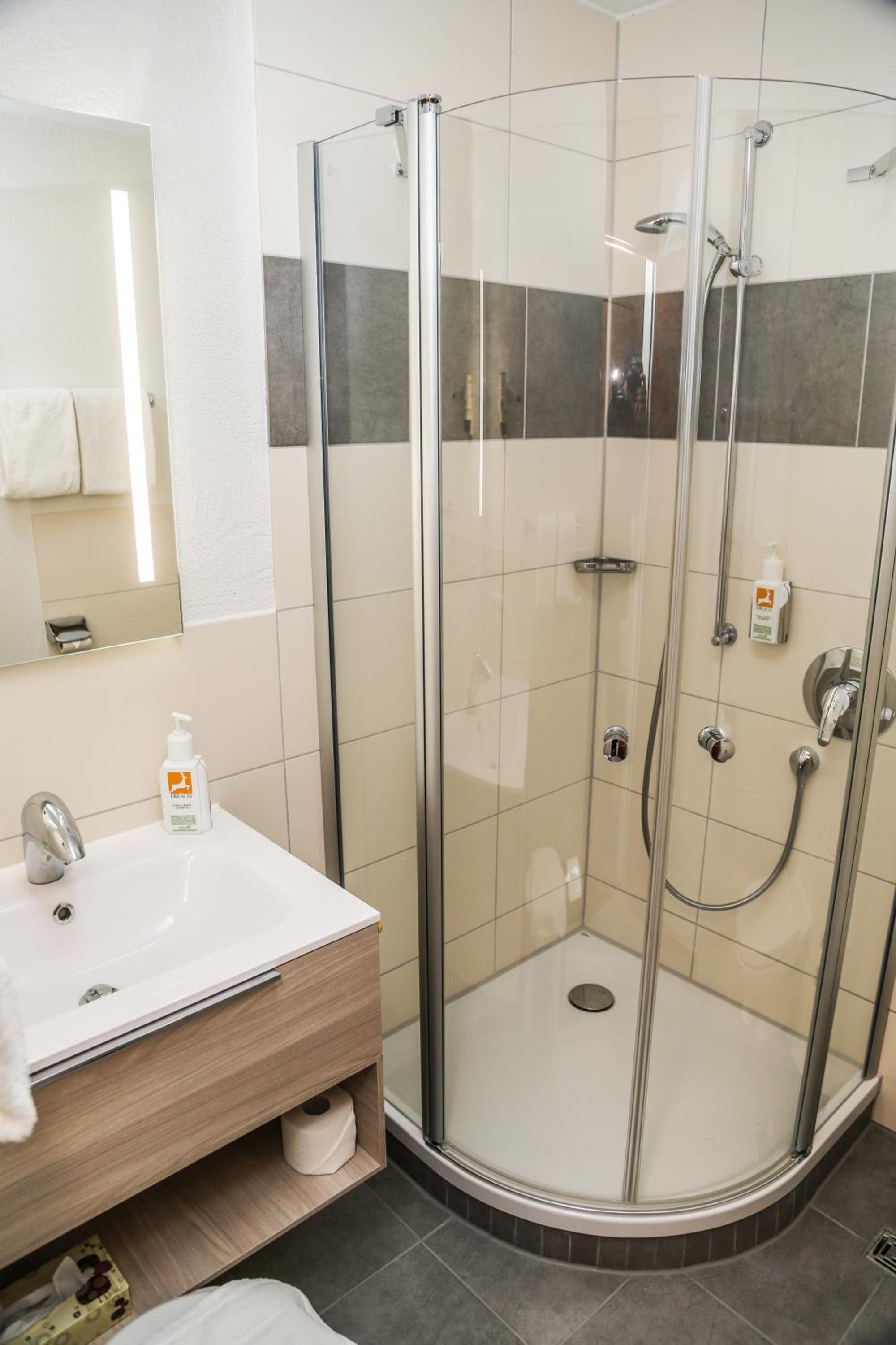 Hotel Hirsch - Property Image 37
