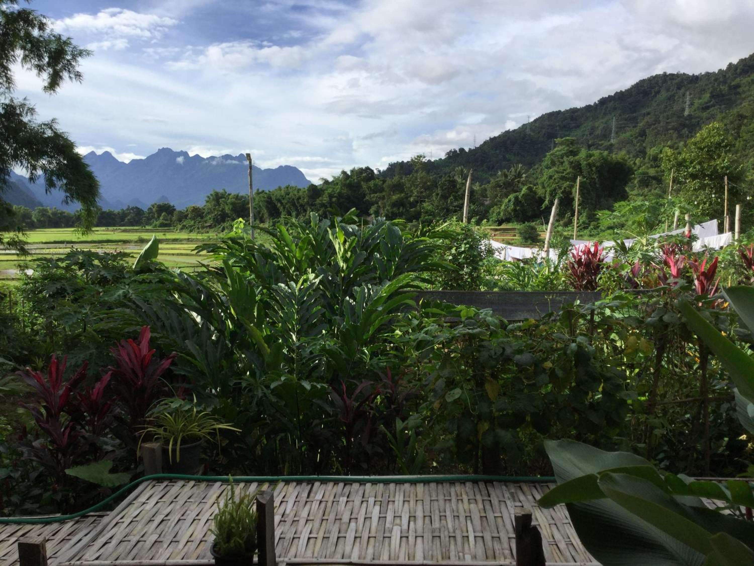 Phoxay Ngam Resort
