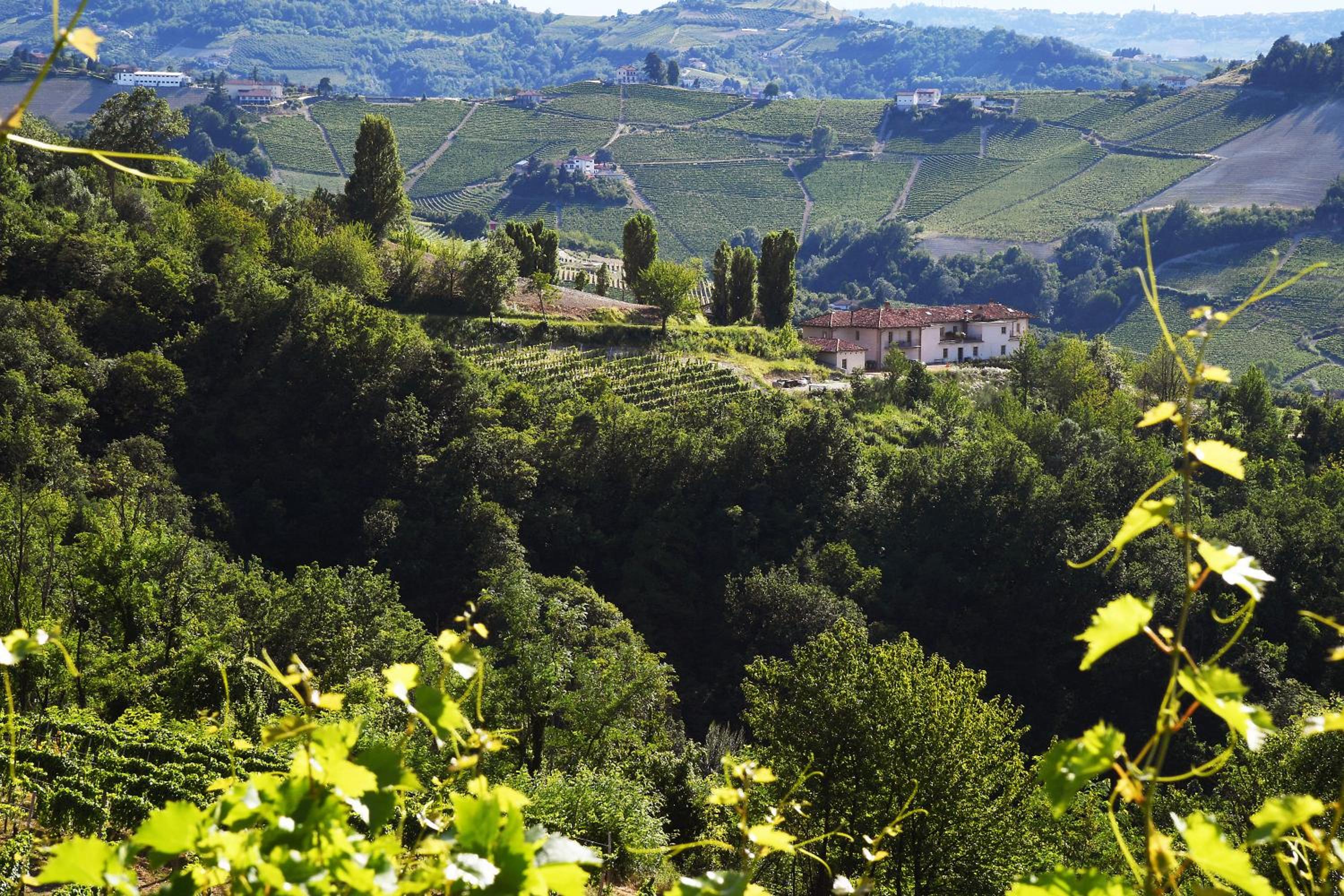 Cascina Alberta view 4