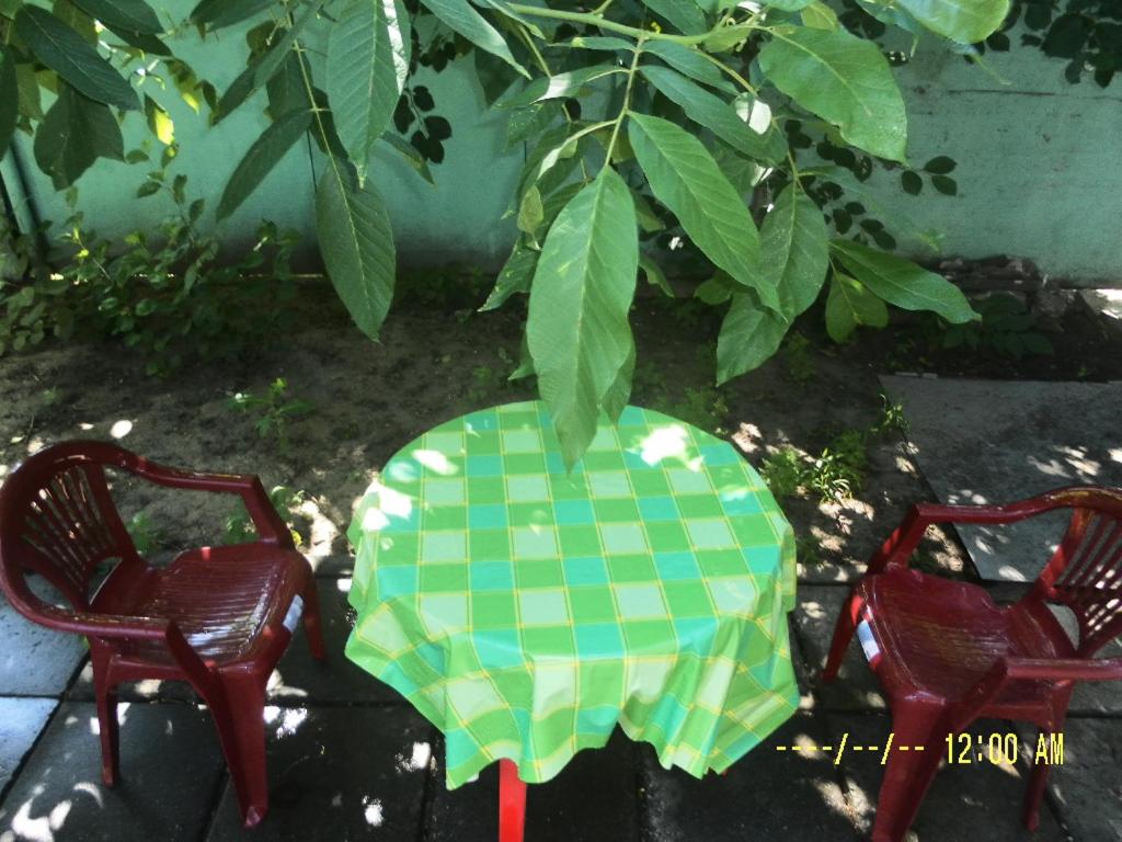 Photo 44