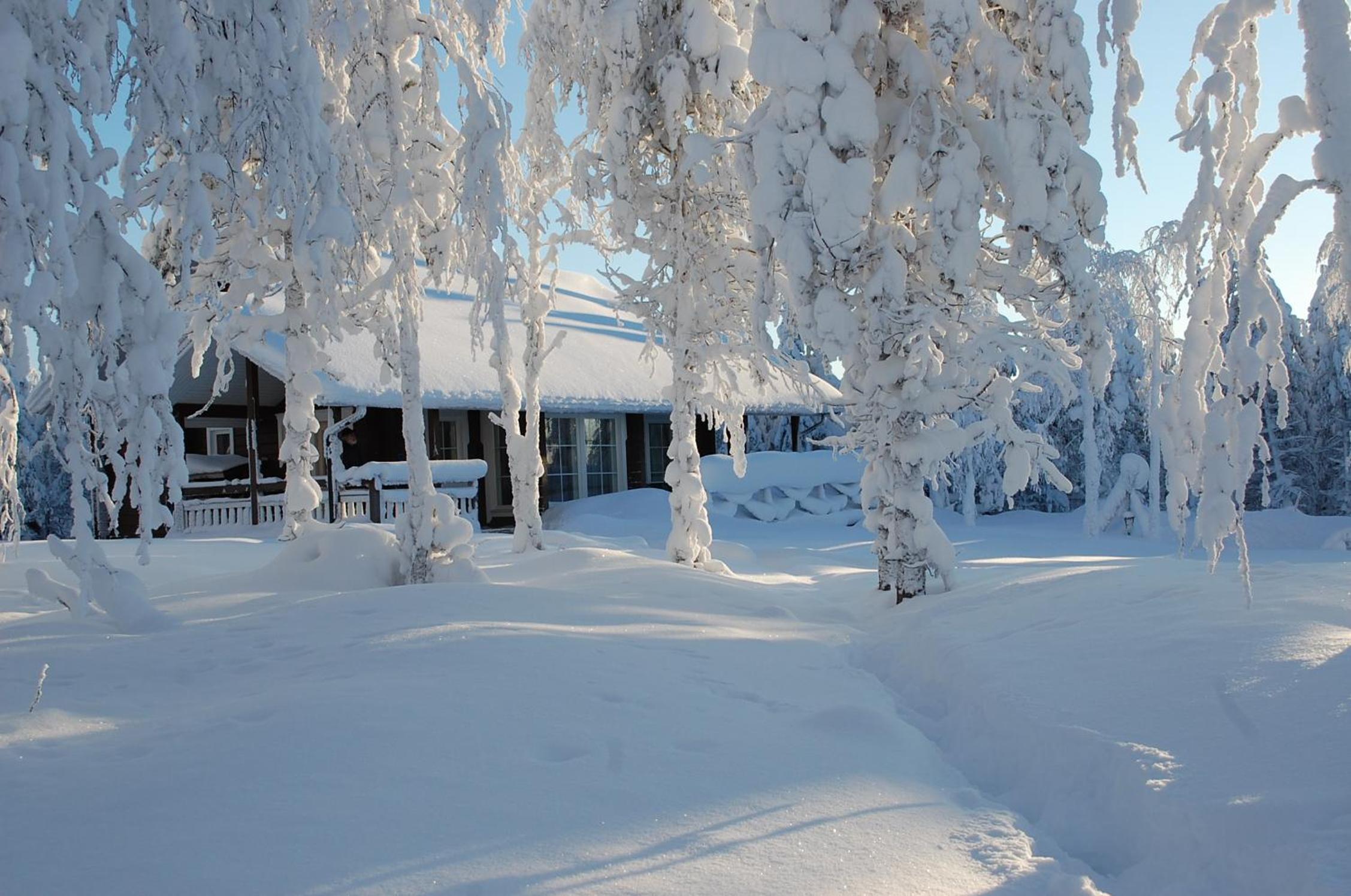 RukaNeliö Cottage view 4