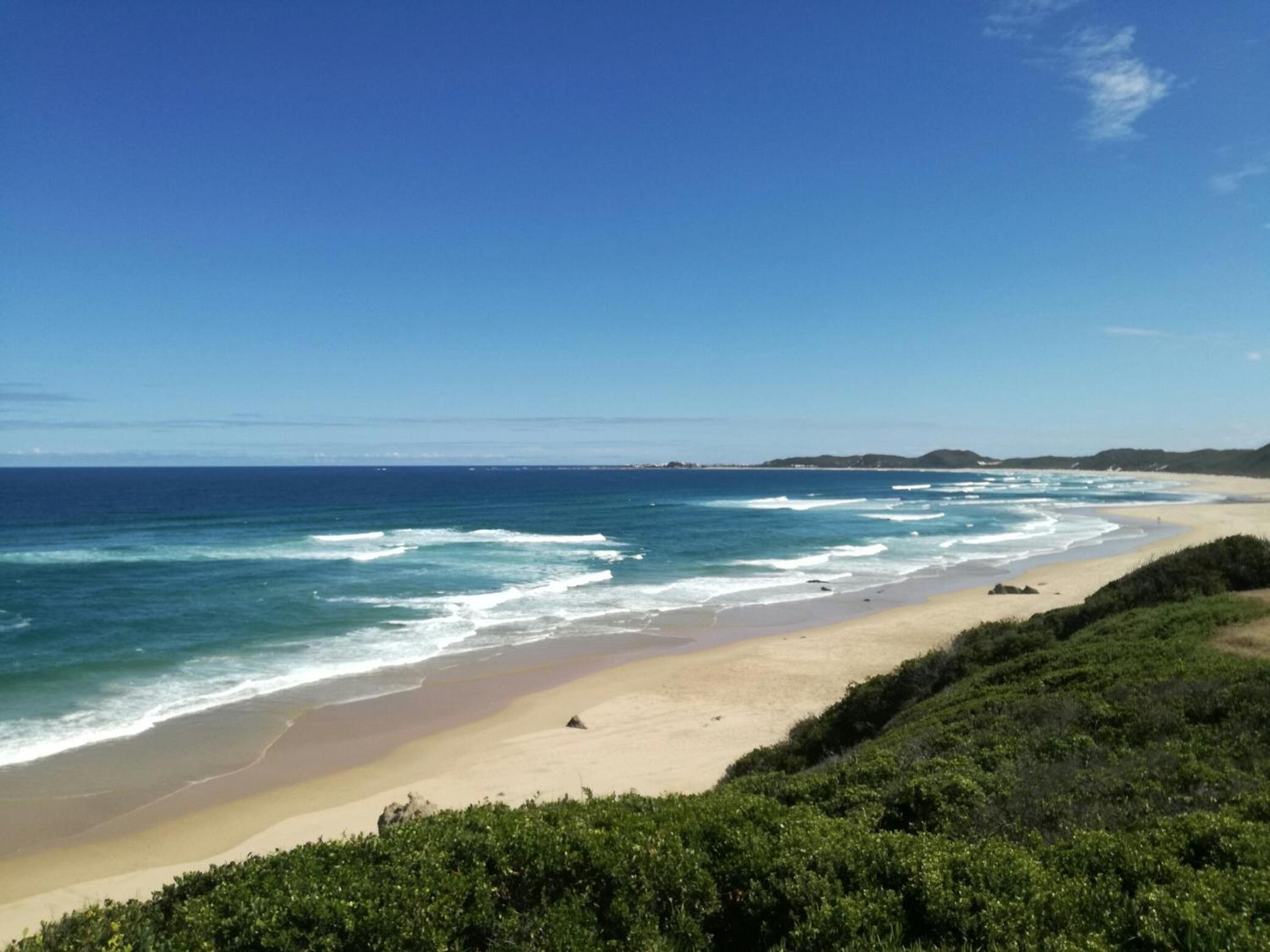 Brenton Bushbuck Lookout