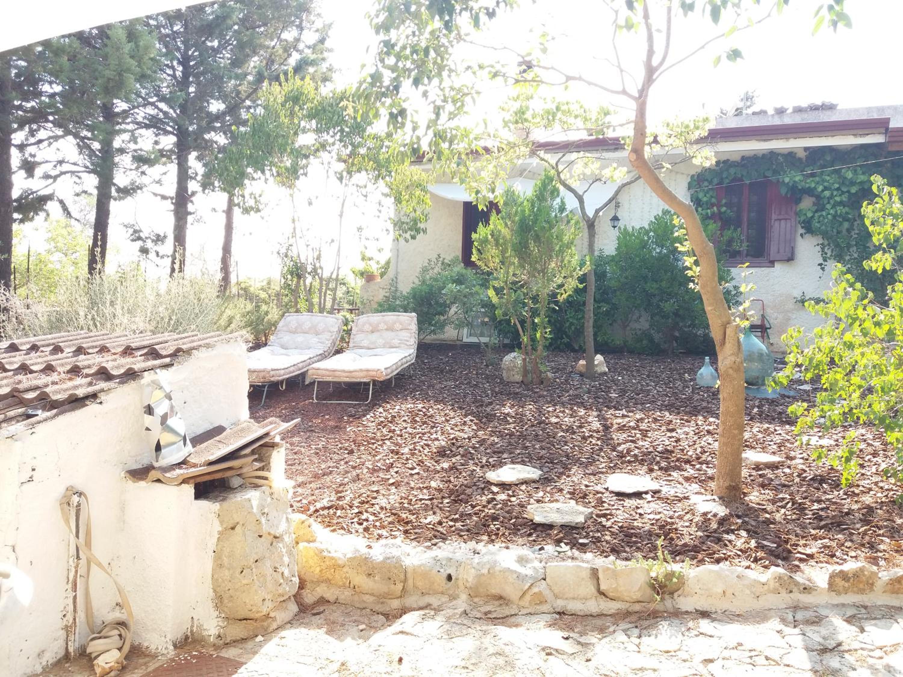 Photo 45