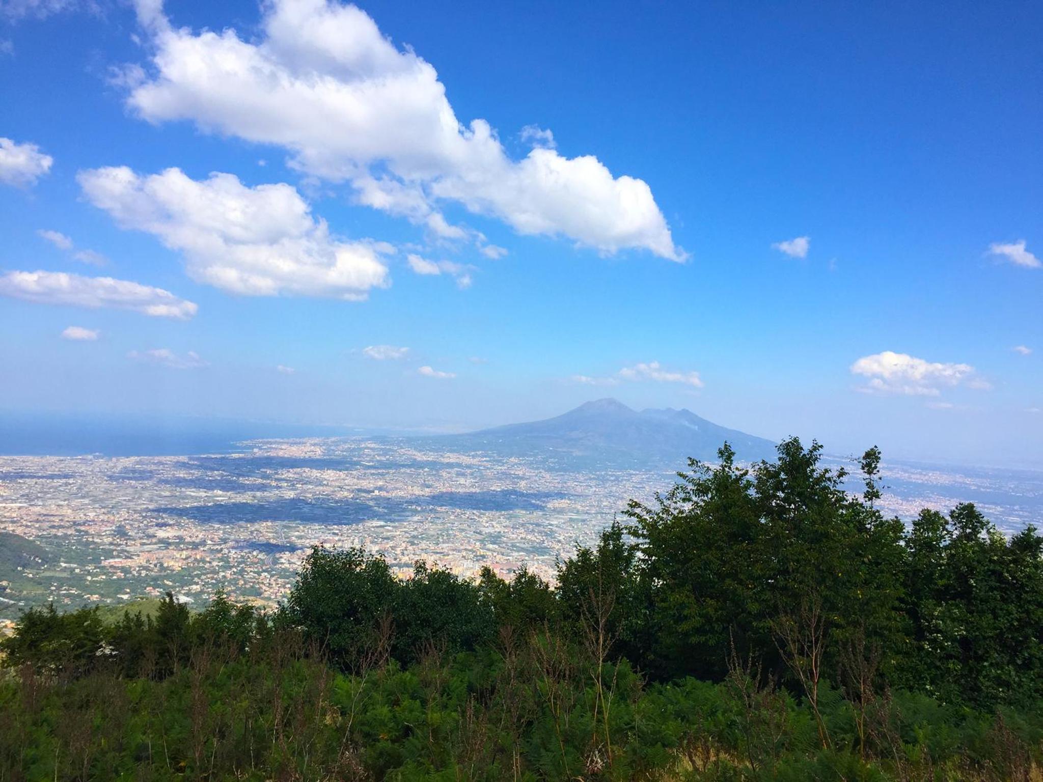 Cantina del Casale photo 5