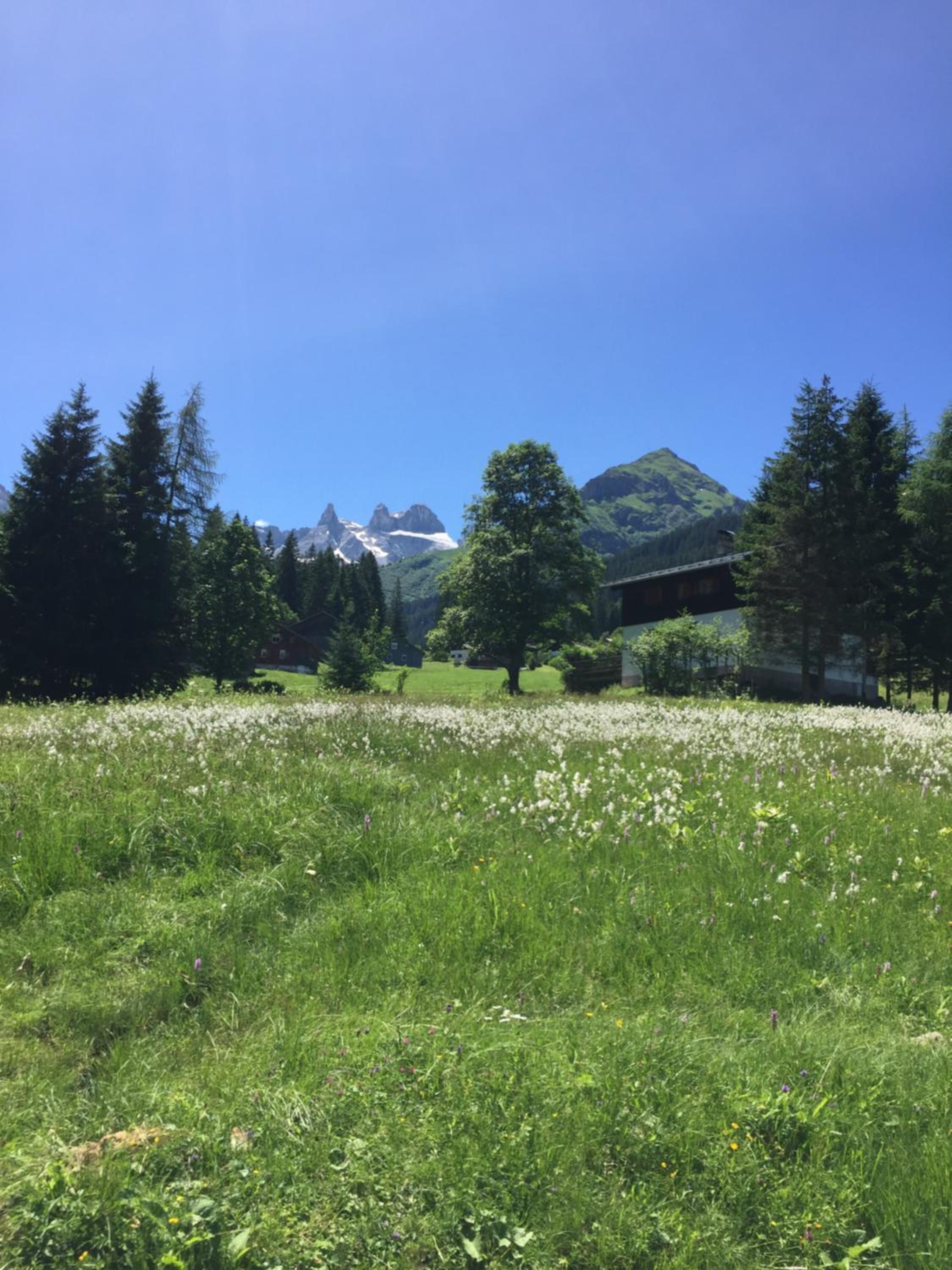 Haus Natalie