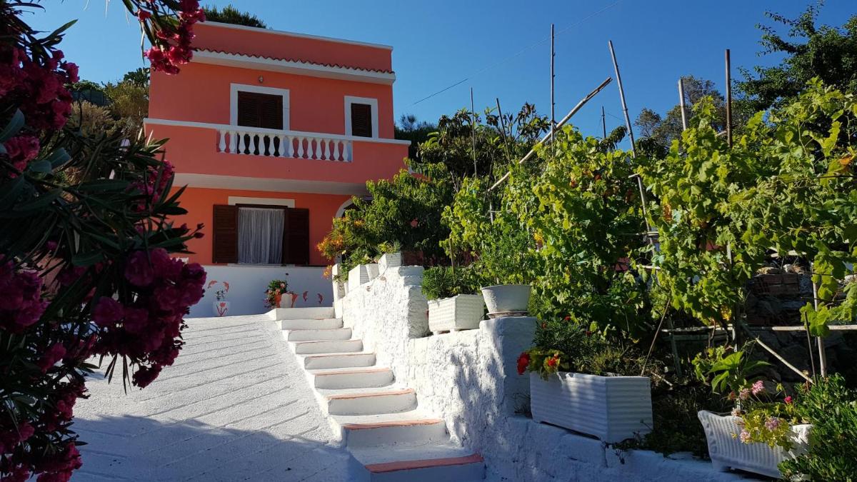 La casa Rosa photo 2