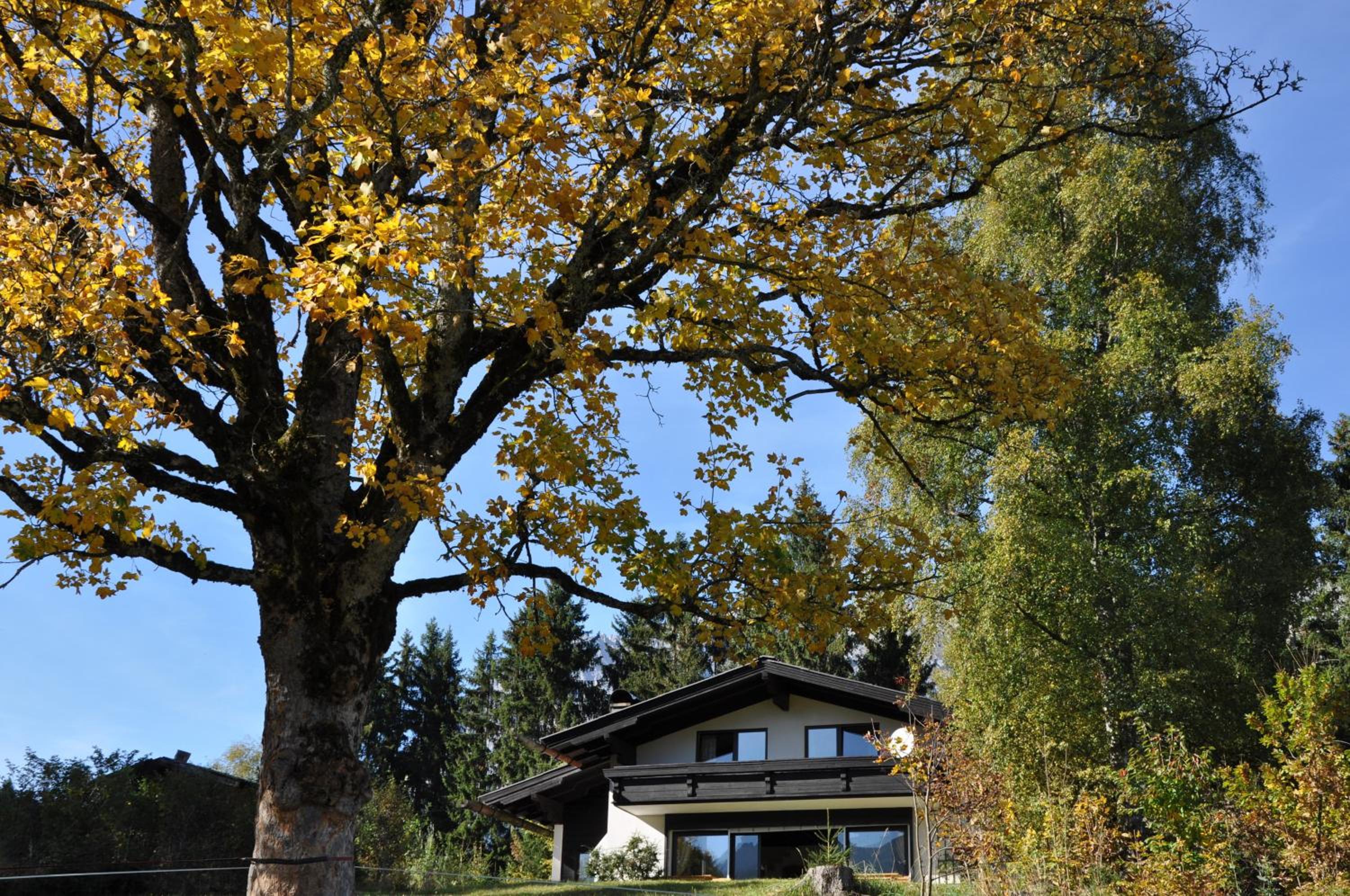 Landhaus Blaubeerhügel