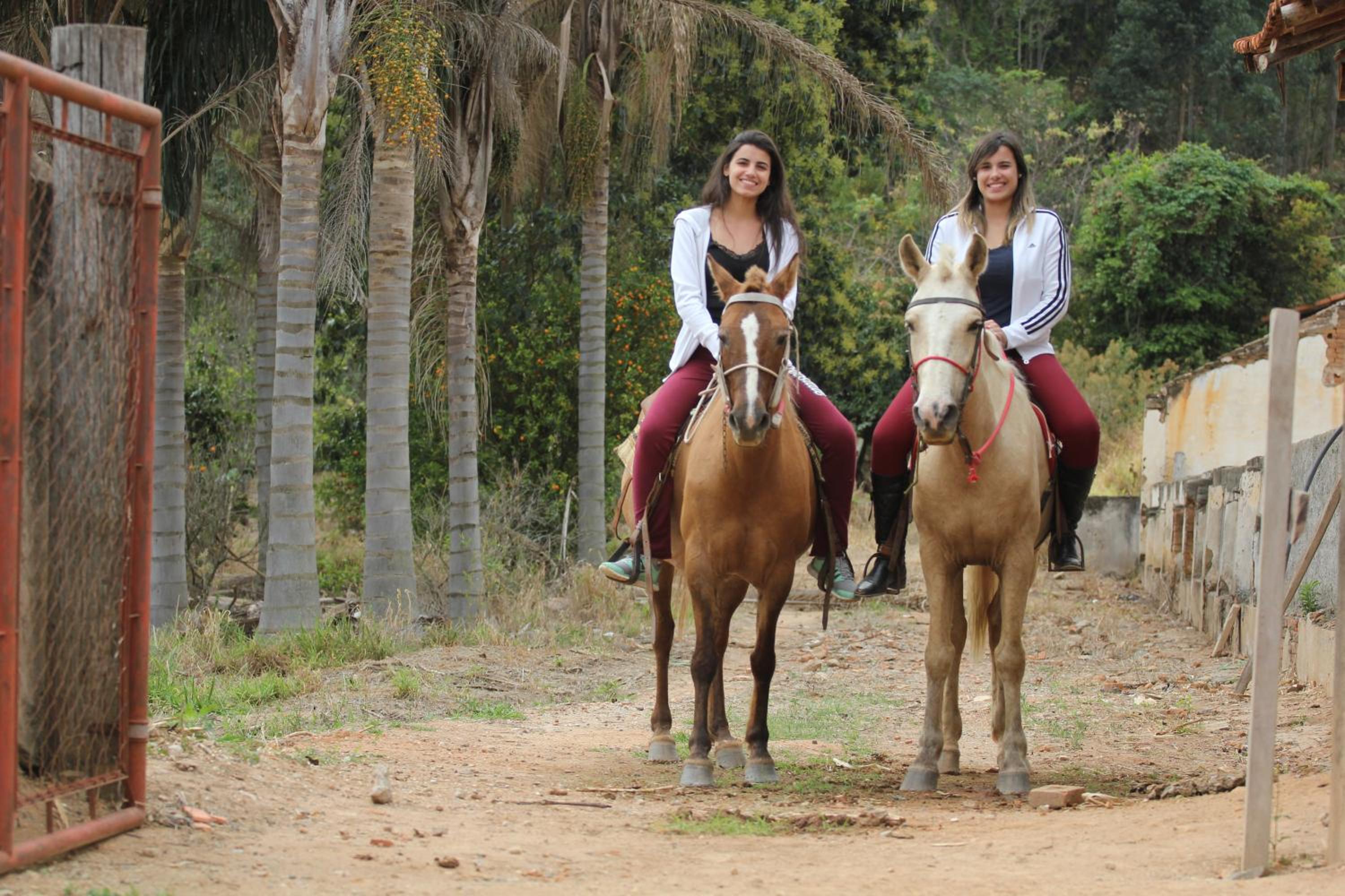 Big Valley Hotel Fazenda