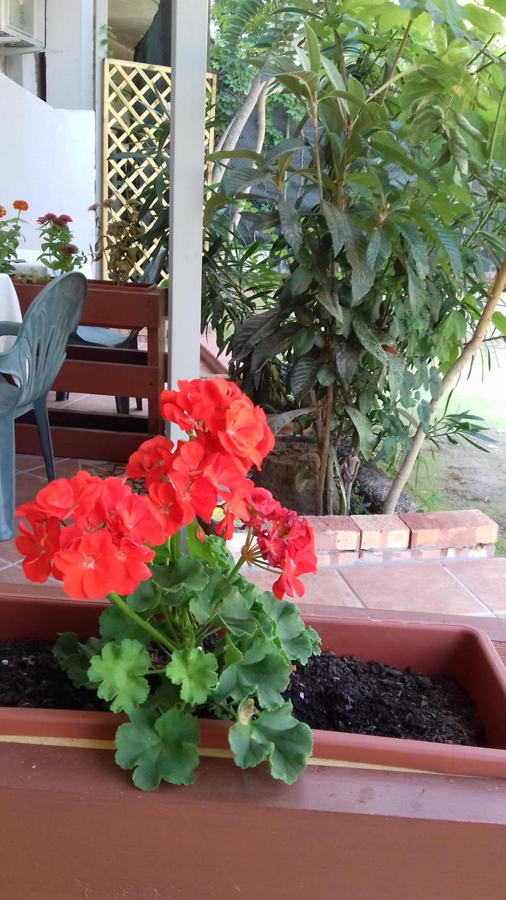 A Casa di Nené