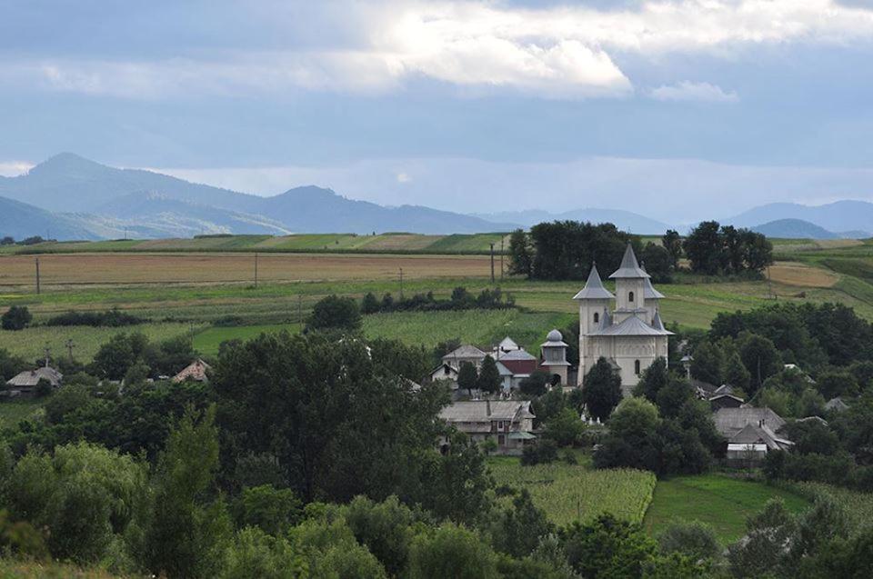 Photo 49