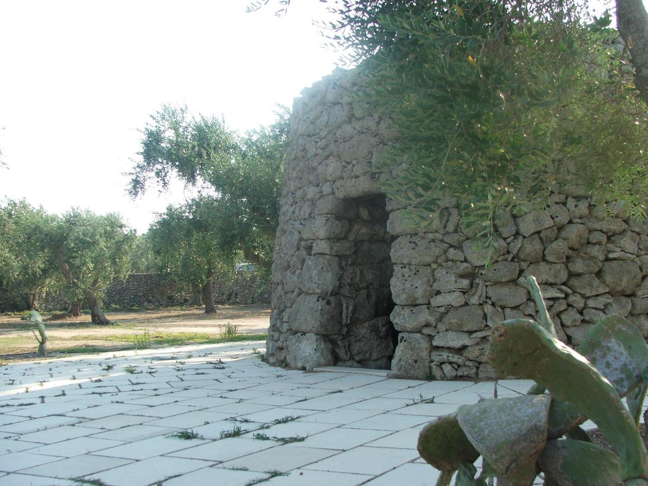 Photo 38