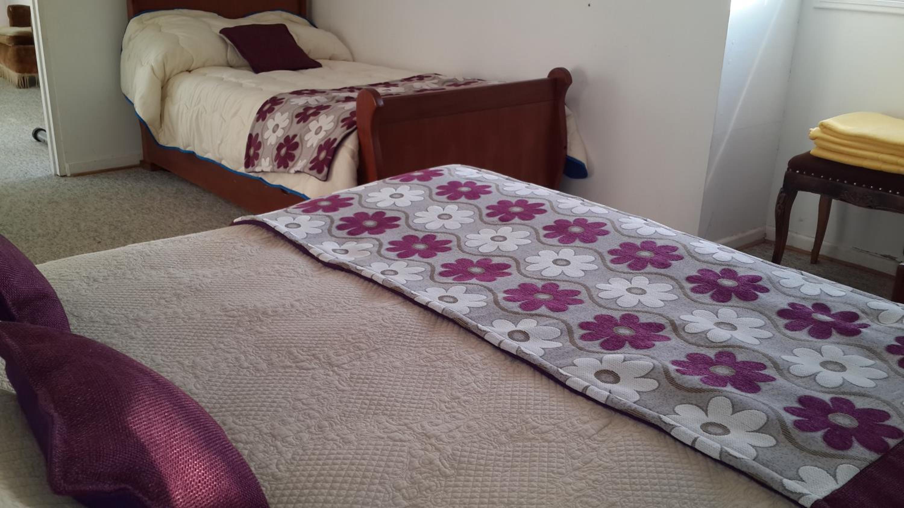 Algarrobo Casa Campo ALYWEN