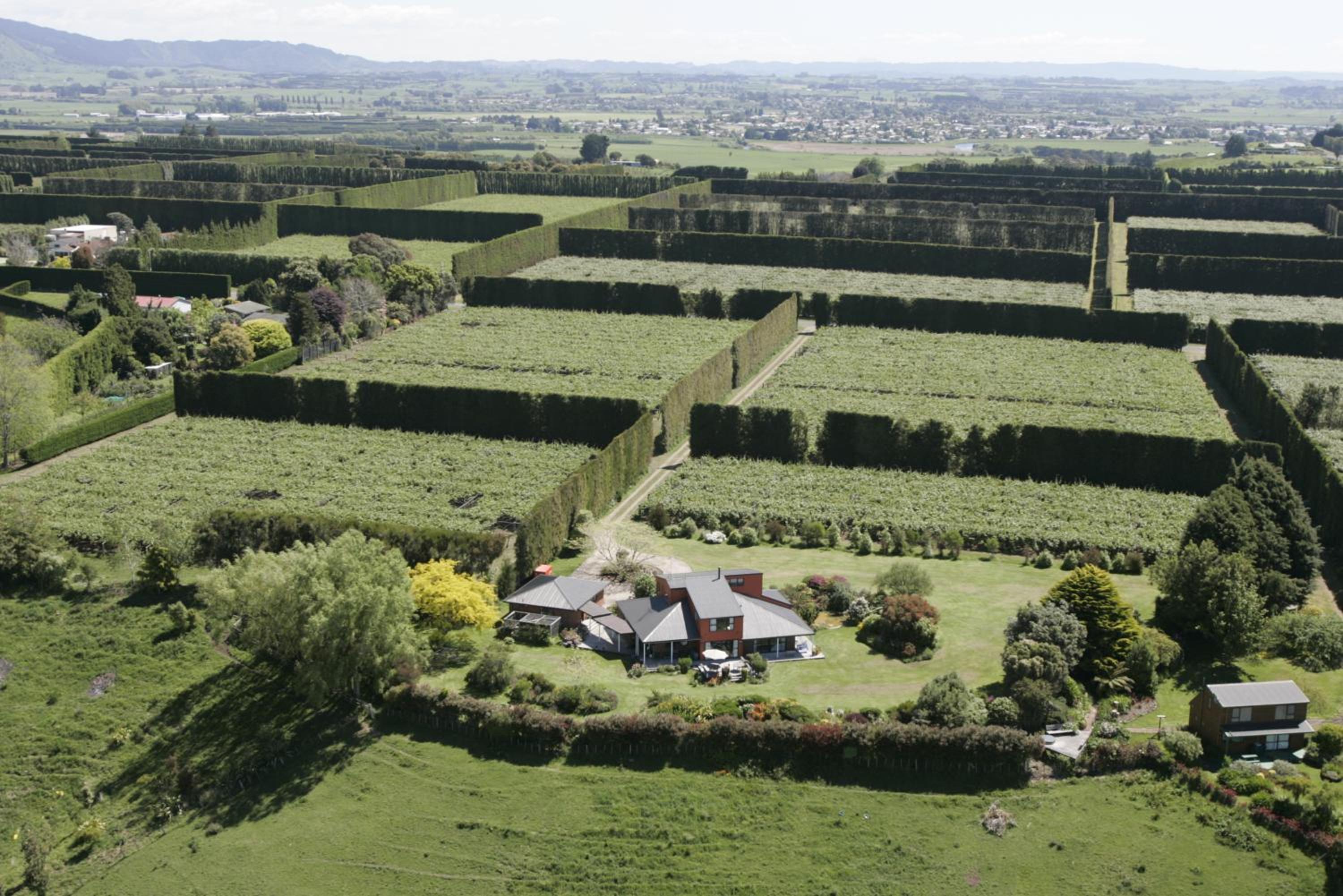 Capeview Cottage