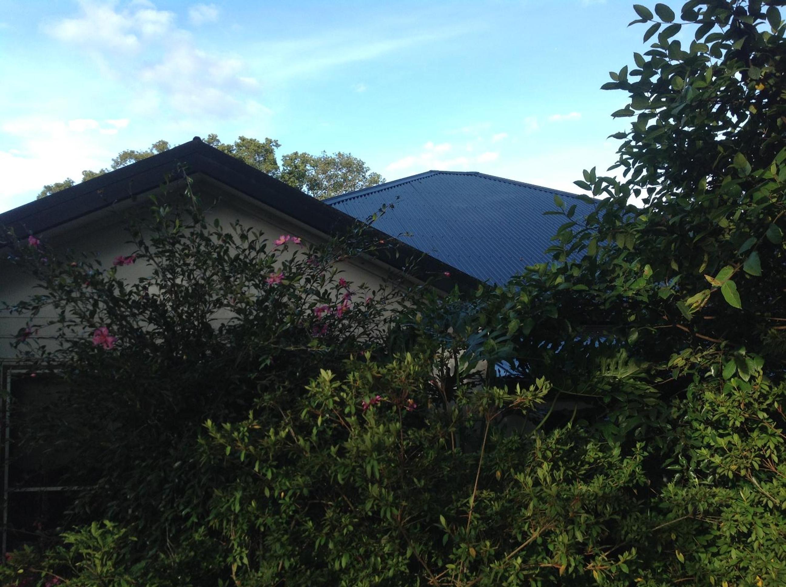 The Laurels B&B