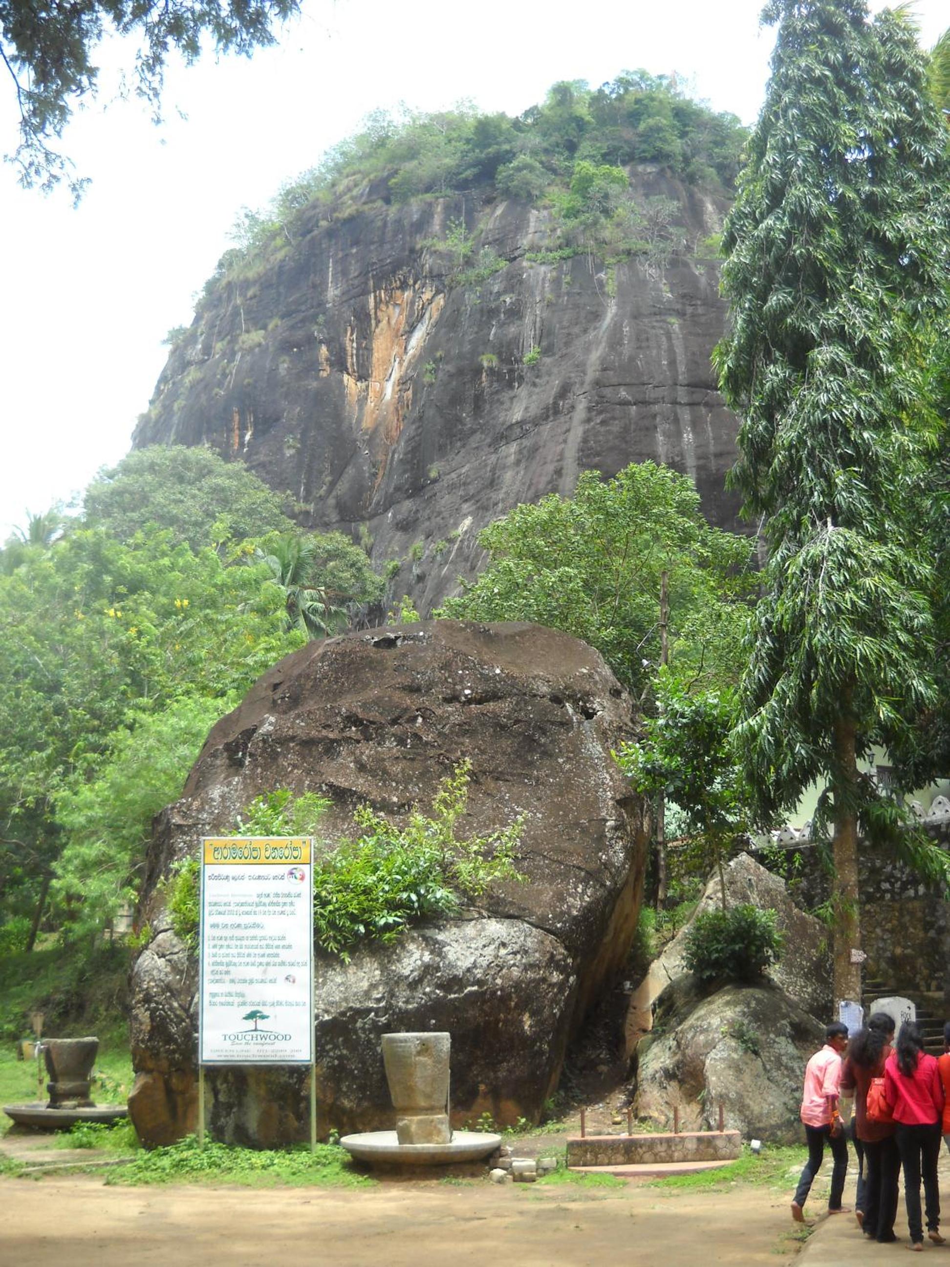 Saman Homestay