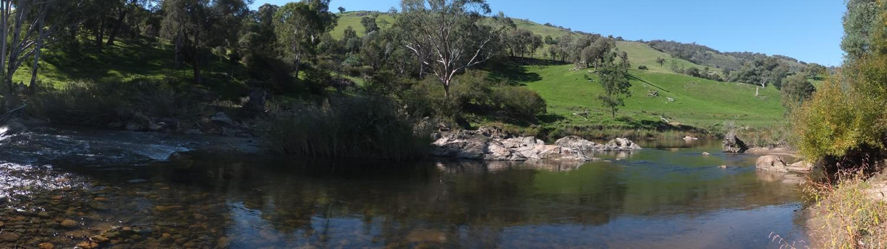 Elm Cottage Tumut