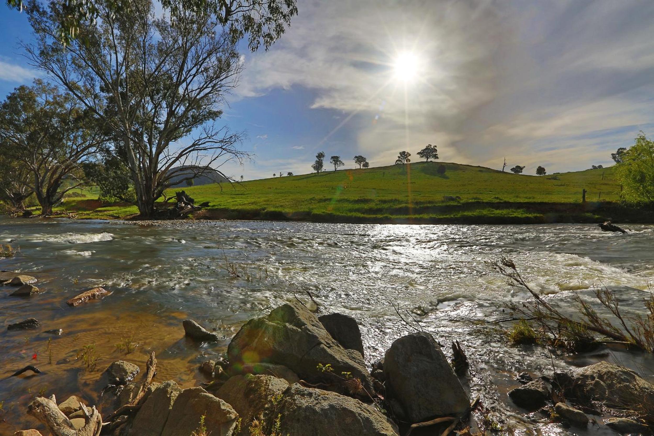 Elm Cottage Tumut