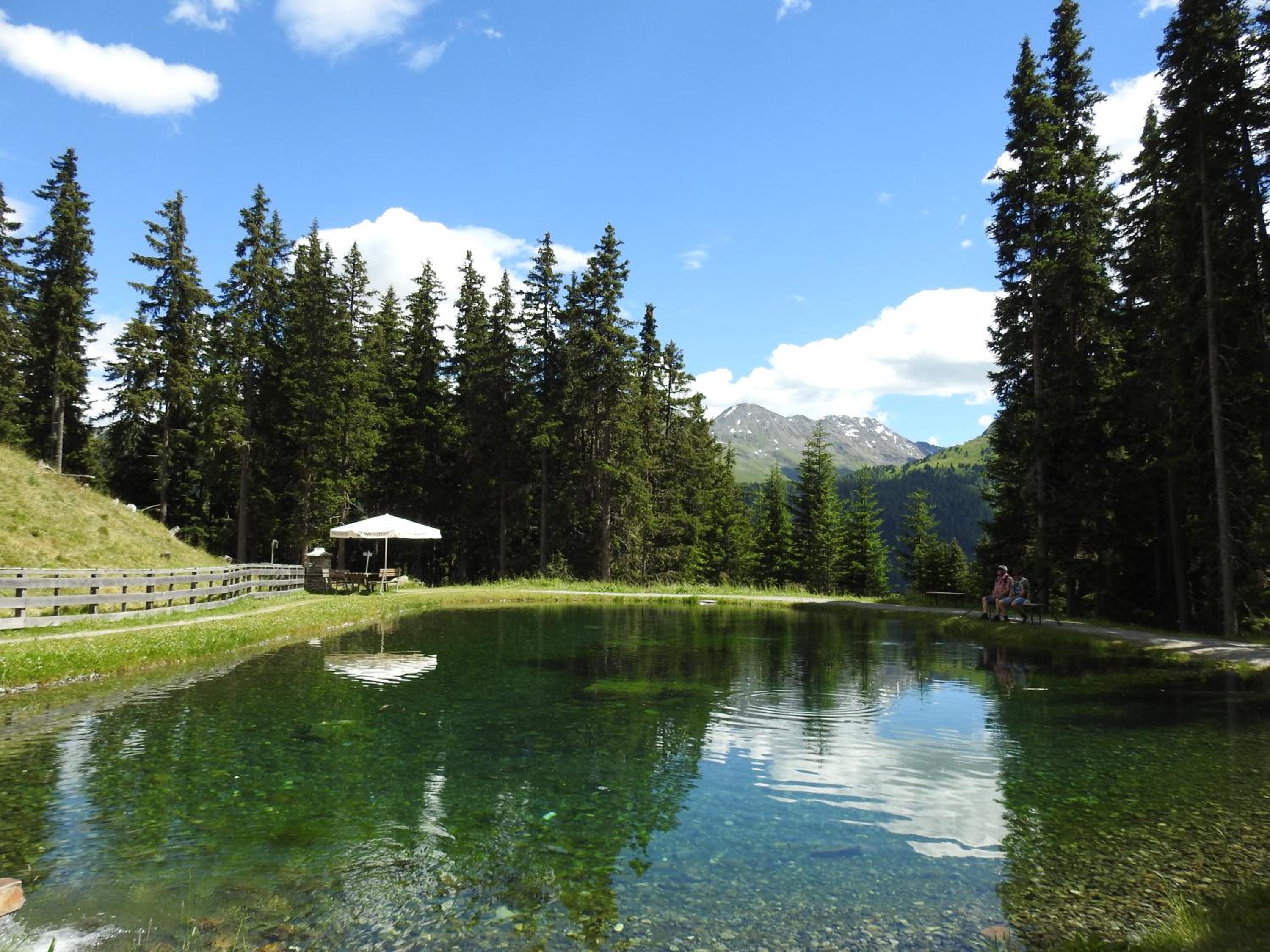 Hotel Alpenfrieden