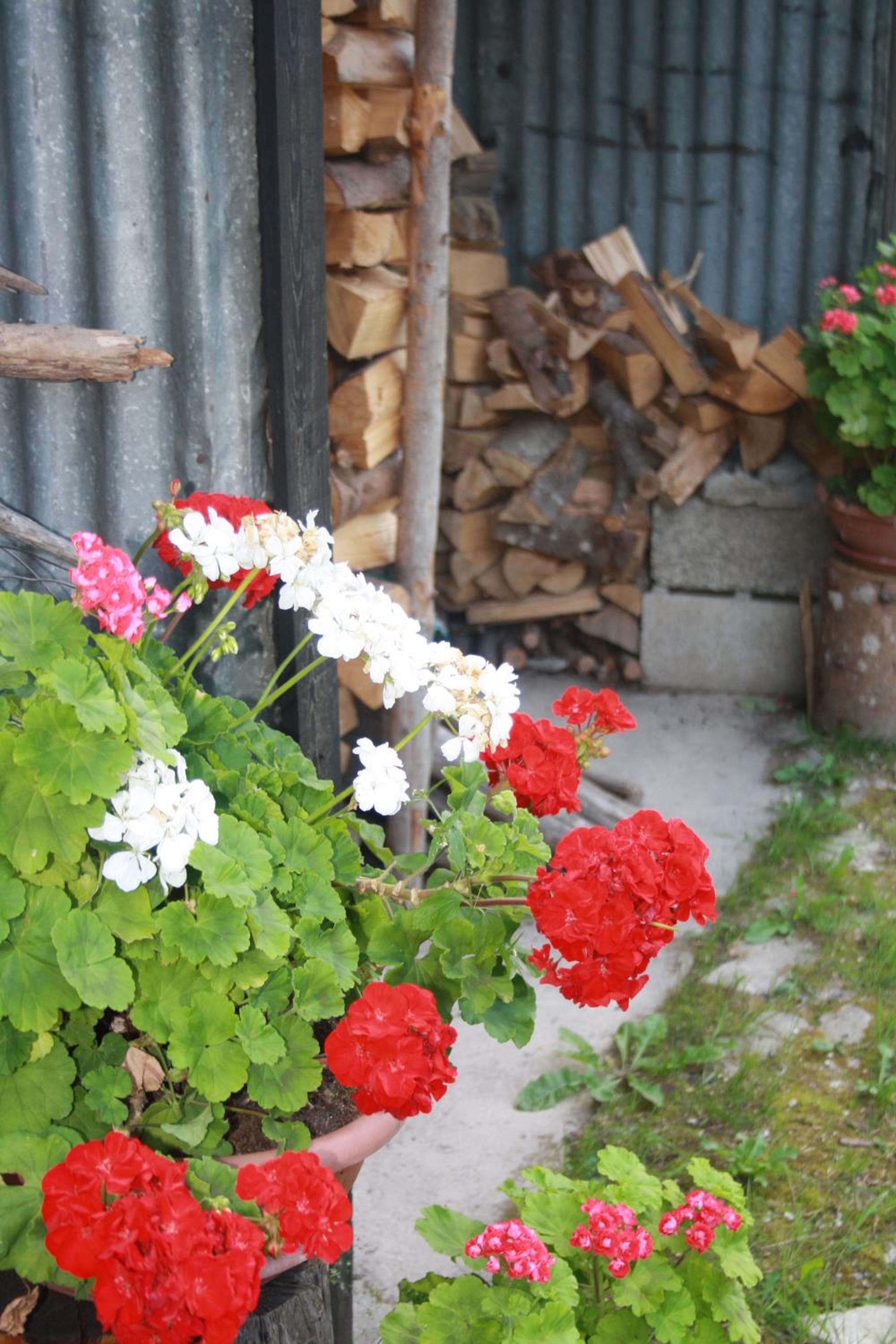 Albergo Diffuso Faller