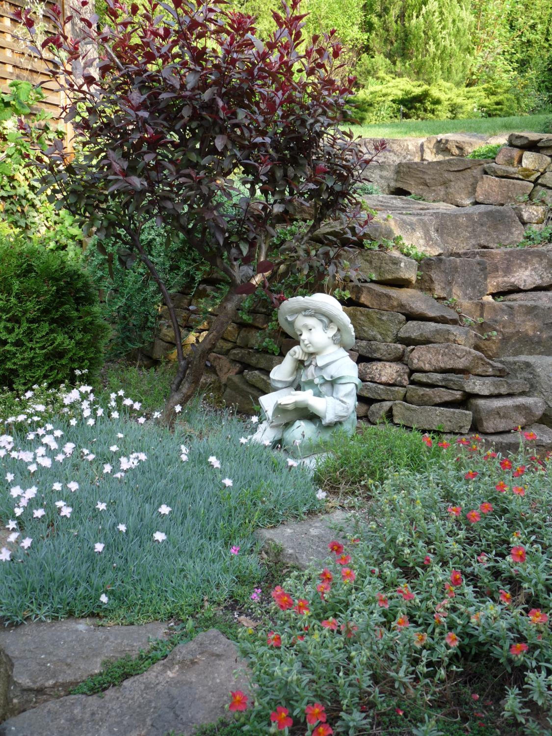 Photo 31