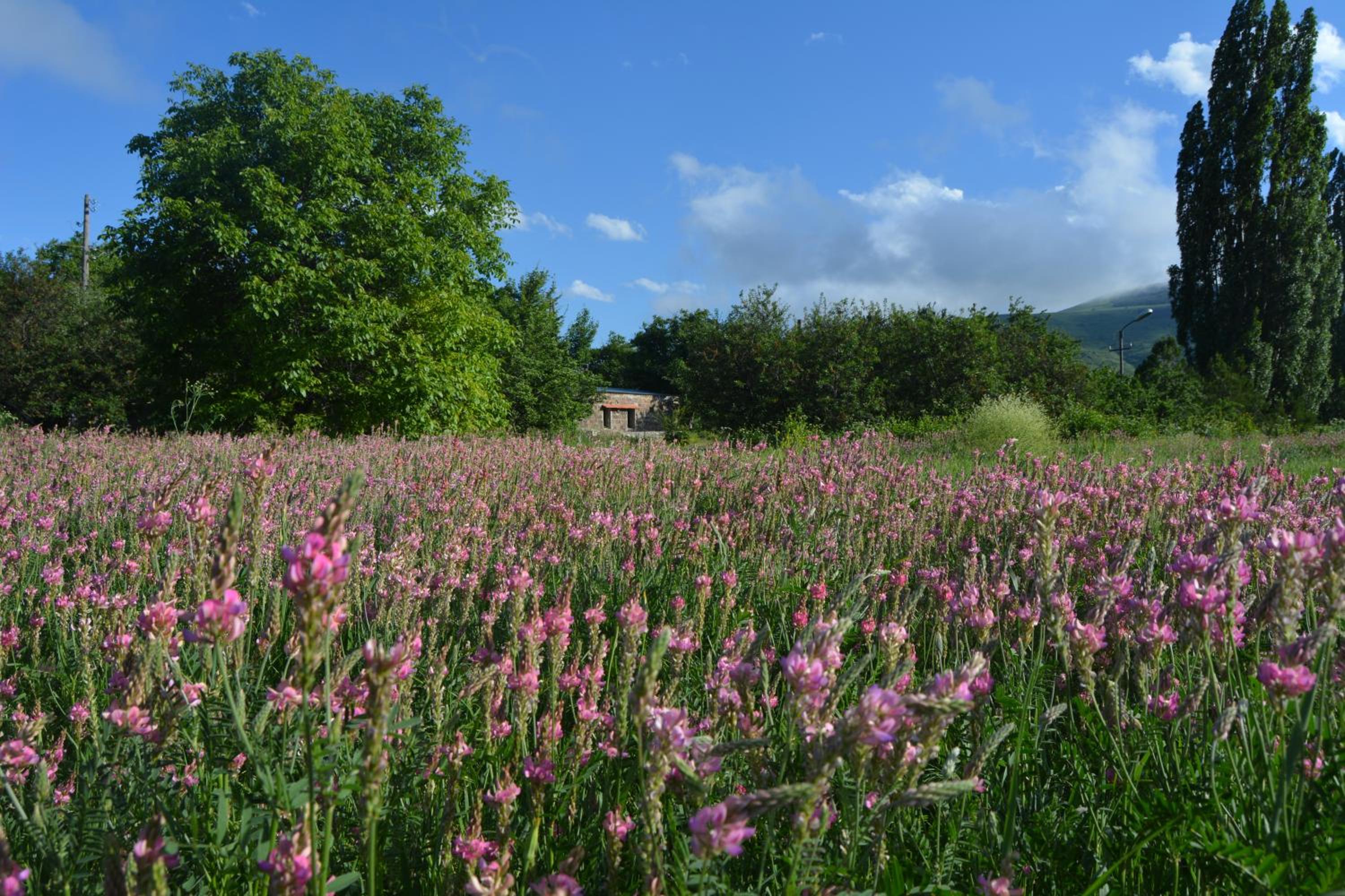 Azoyan Holiday Resort