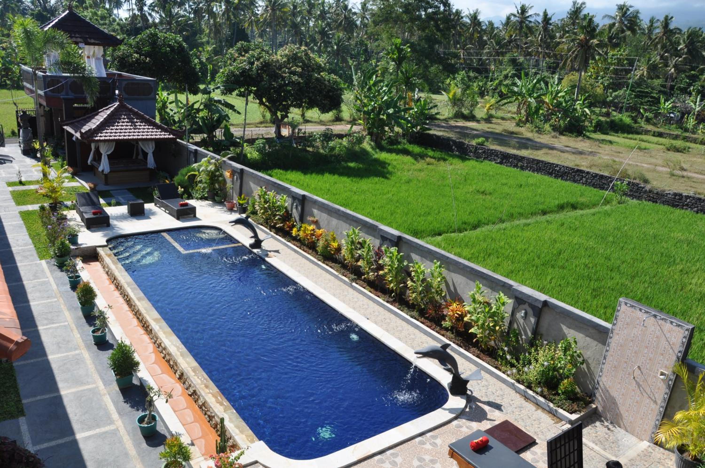 Summer Guesthouse Lovina