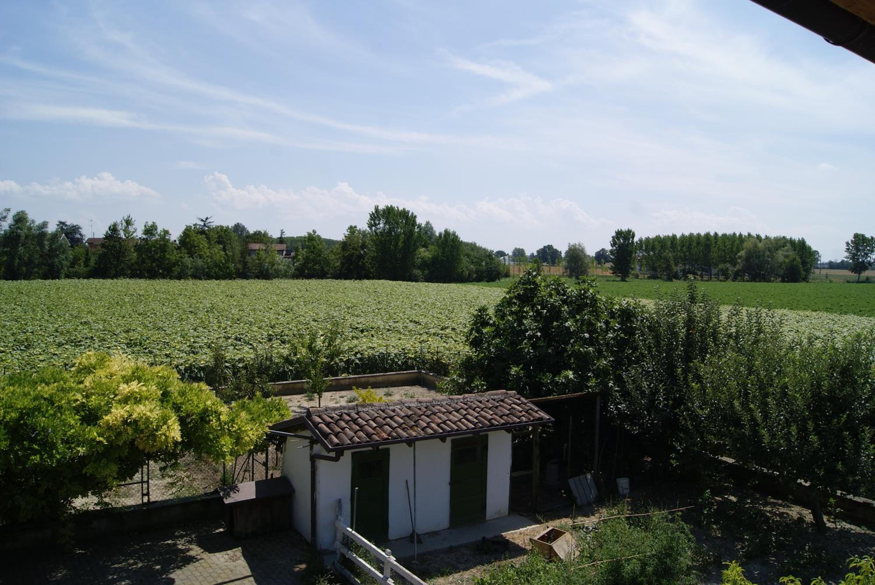 Antico Pioppo