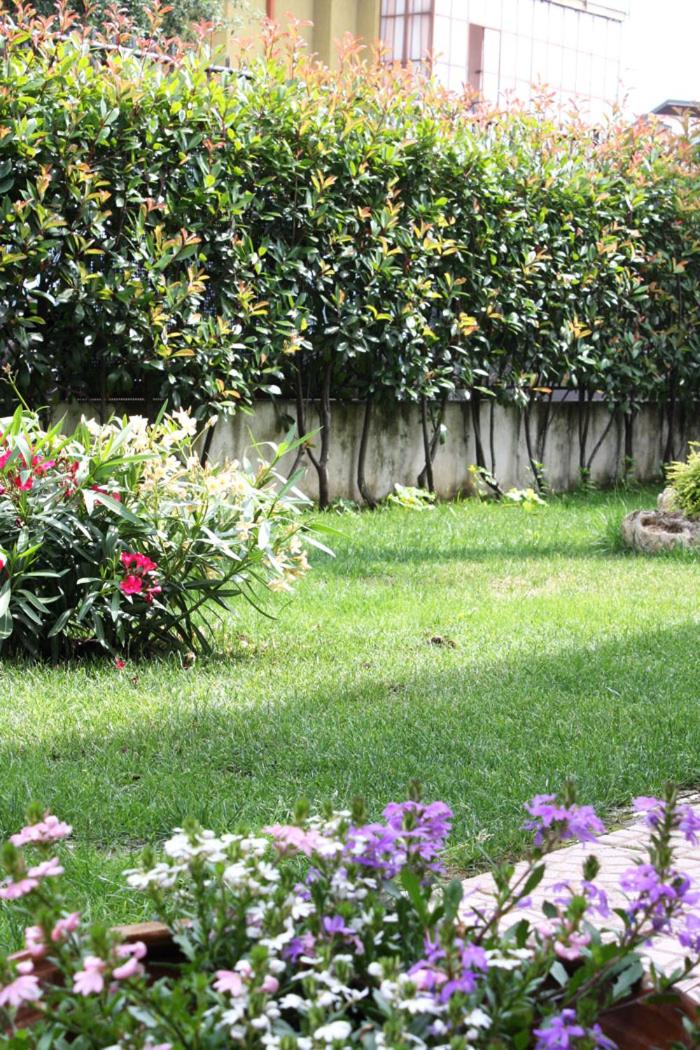Mi Casa Affittacamere