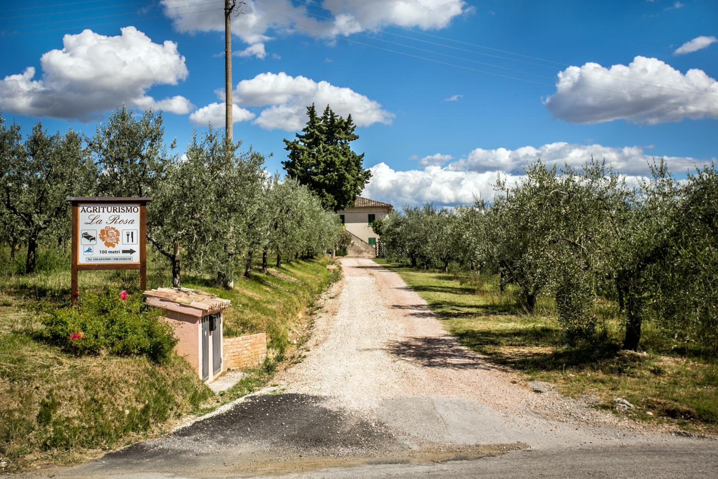 Agriturismo La Rosa Montefalco view 4