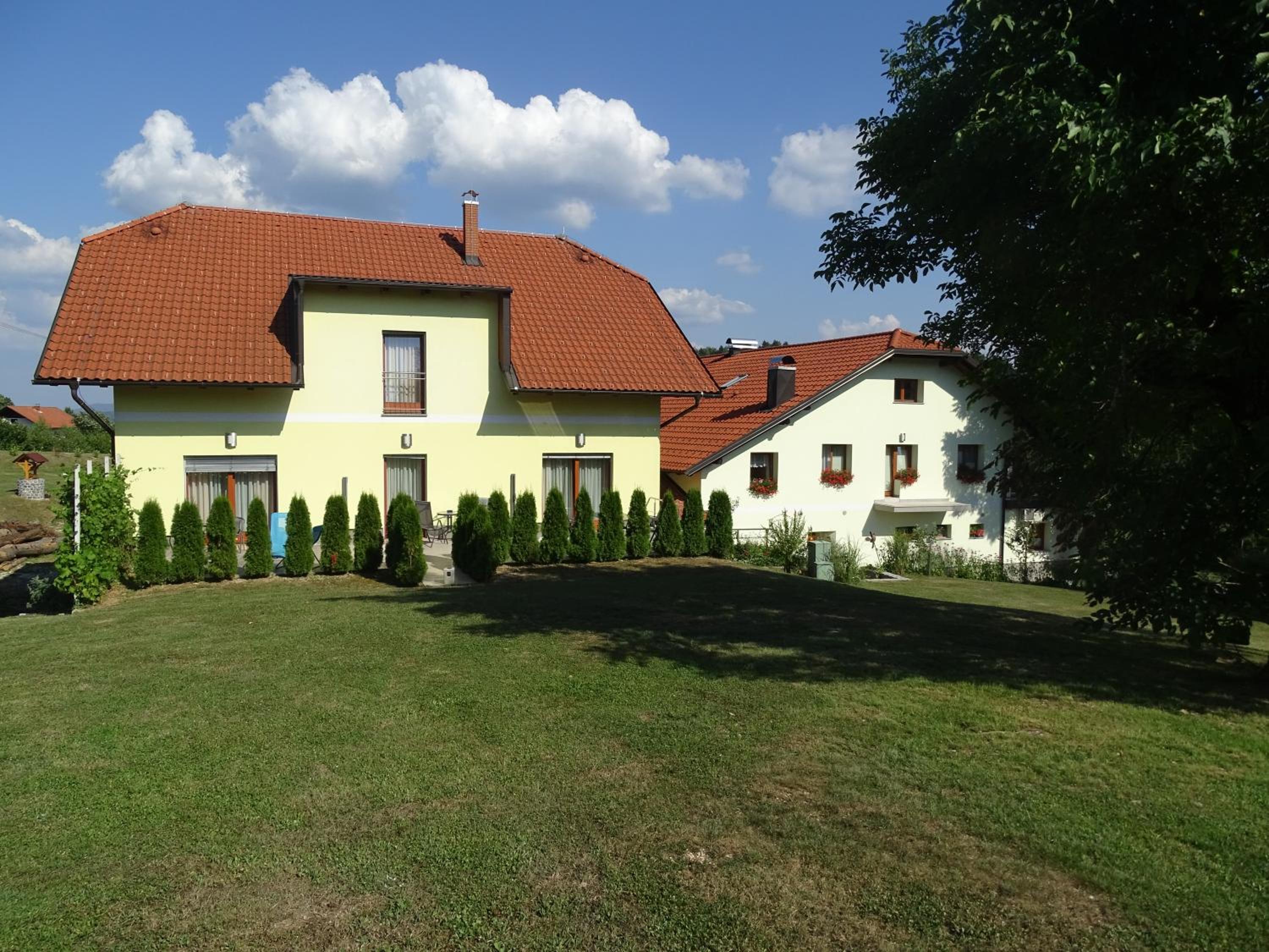 Photo 46