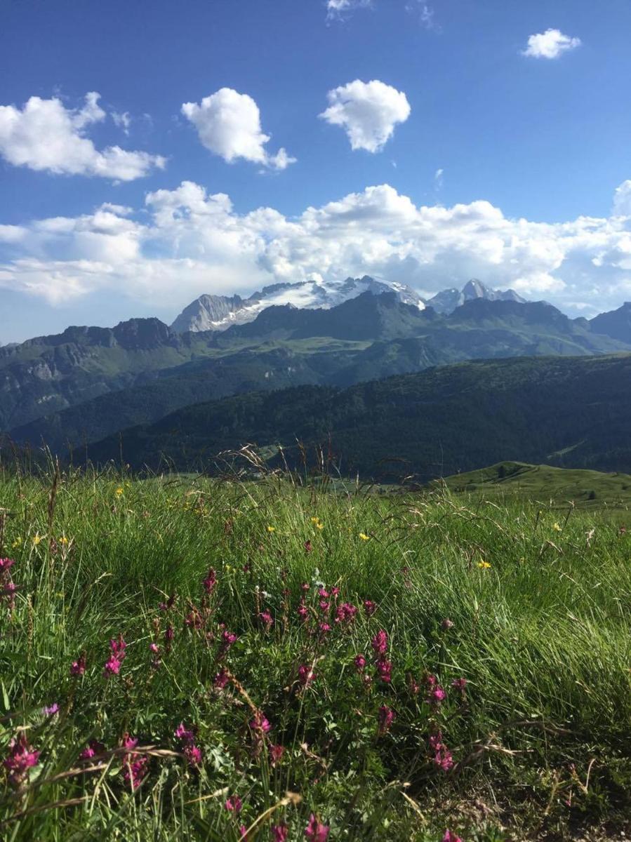 Ciasa Fedo view 5
