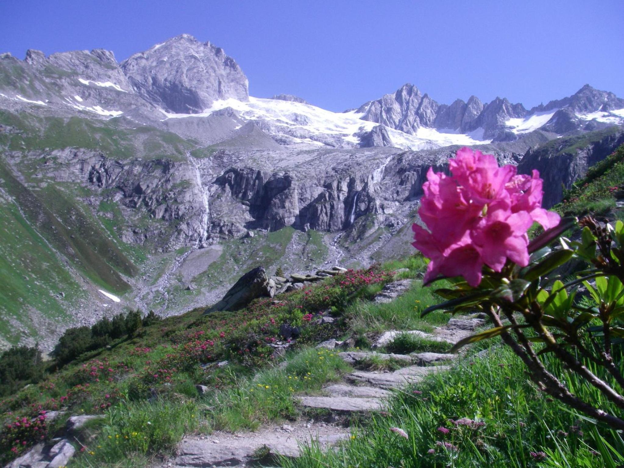 Photo 23
