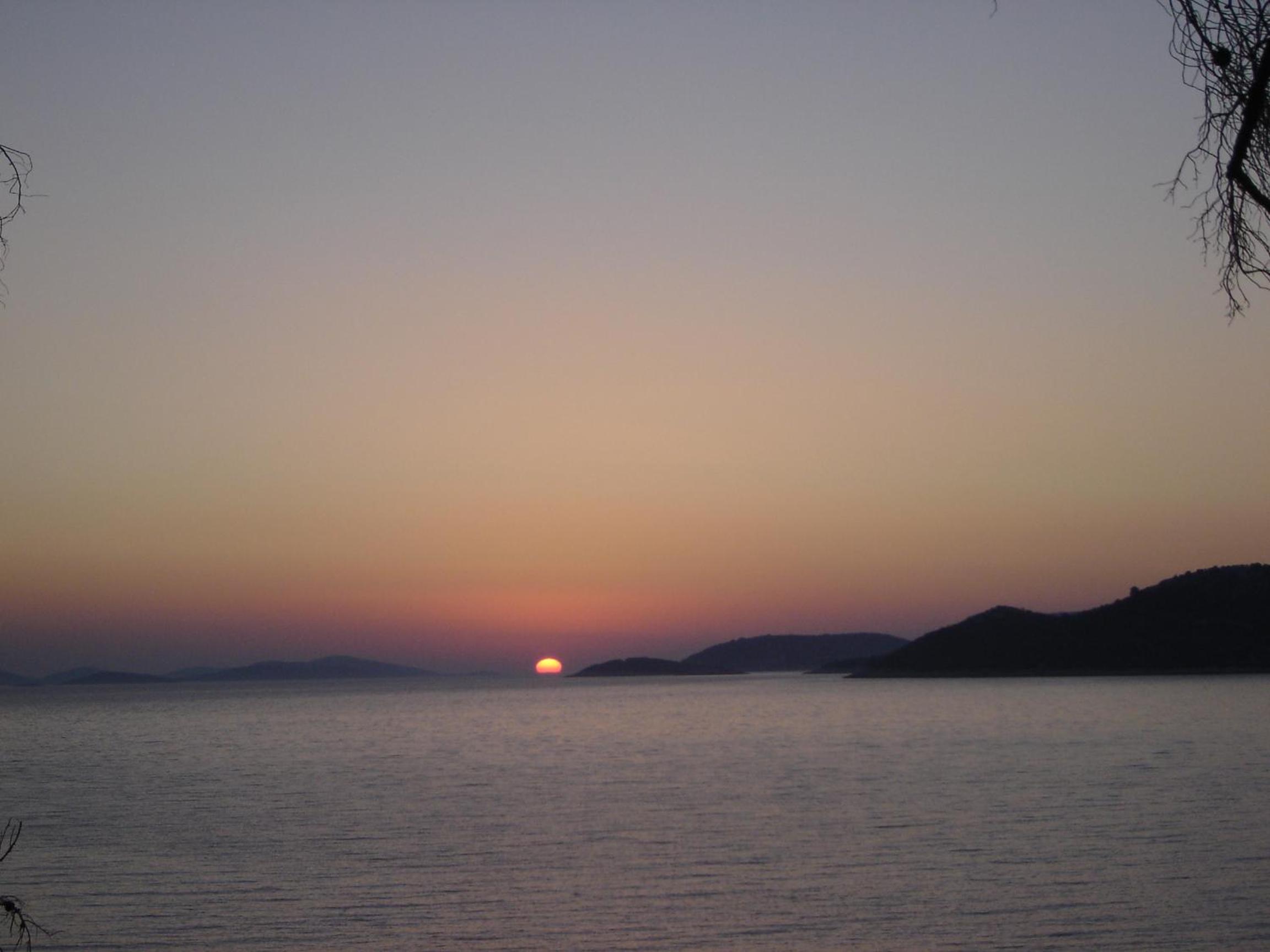 Photo 50
