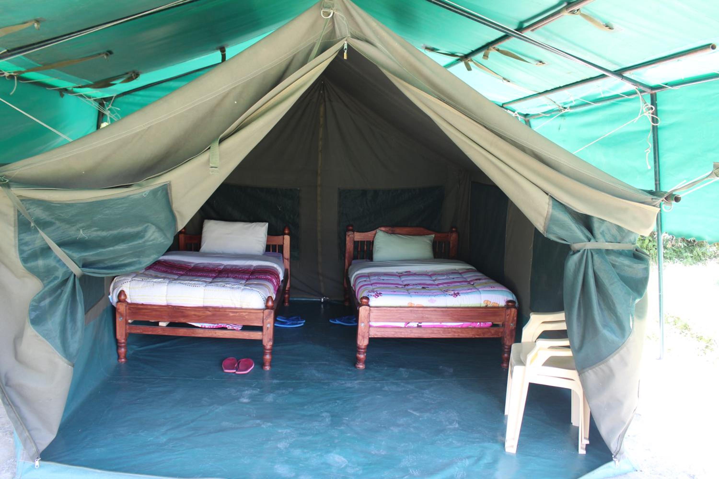 Cactus Eco Camp and Lodge