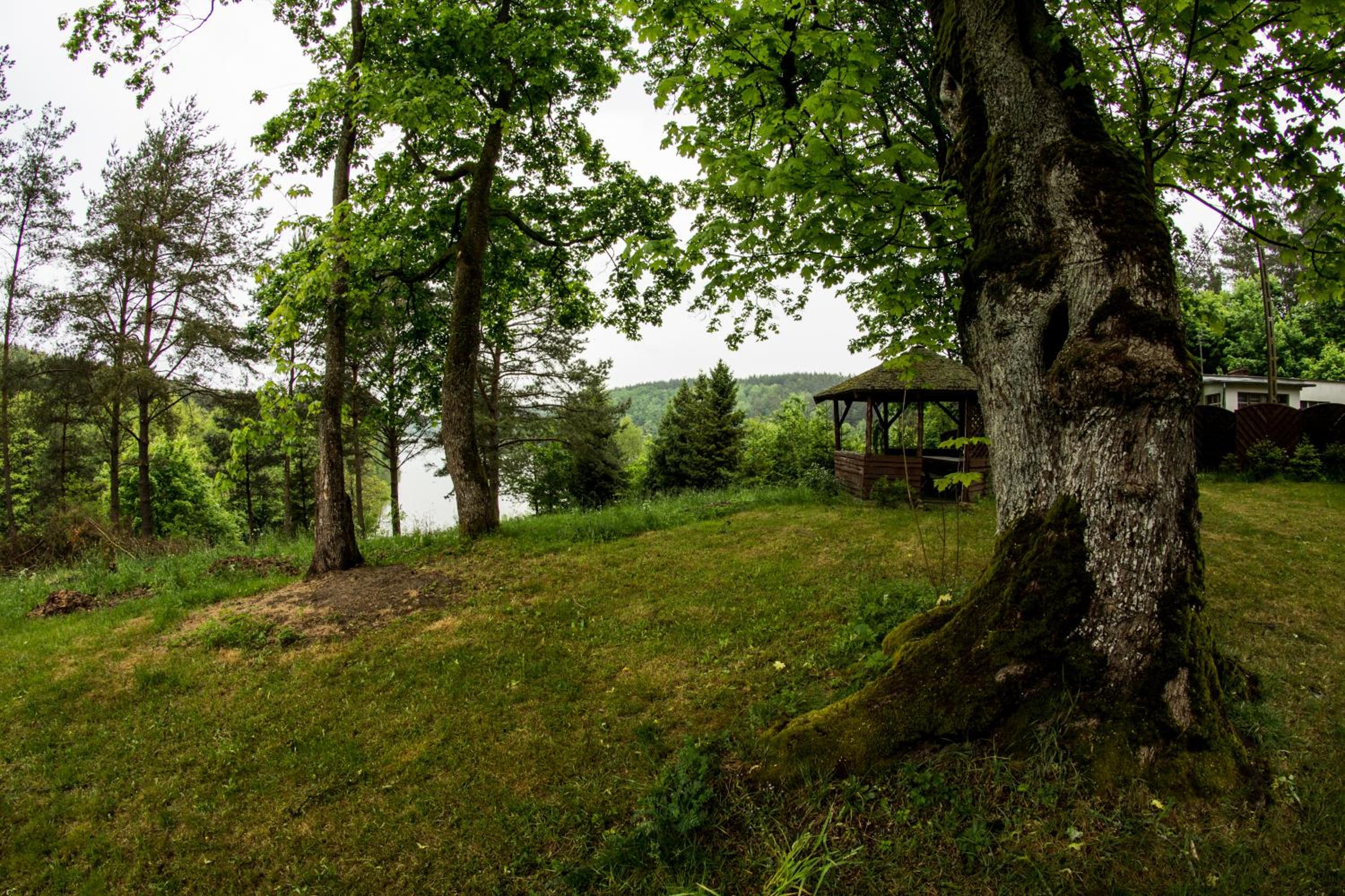 Photo 46