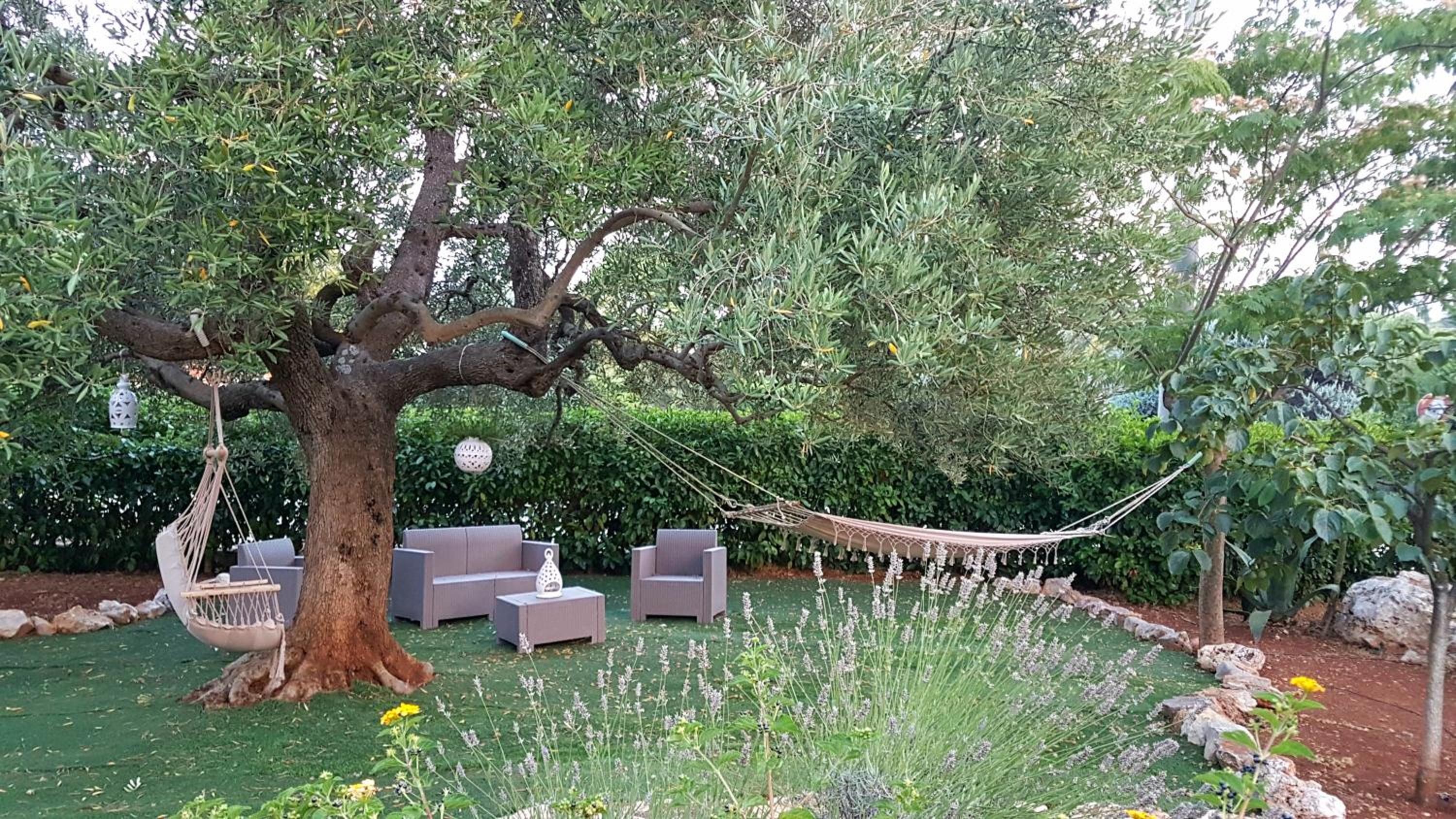 B&B All'ombra degli ulivi