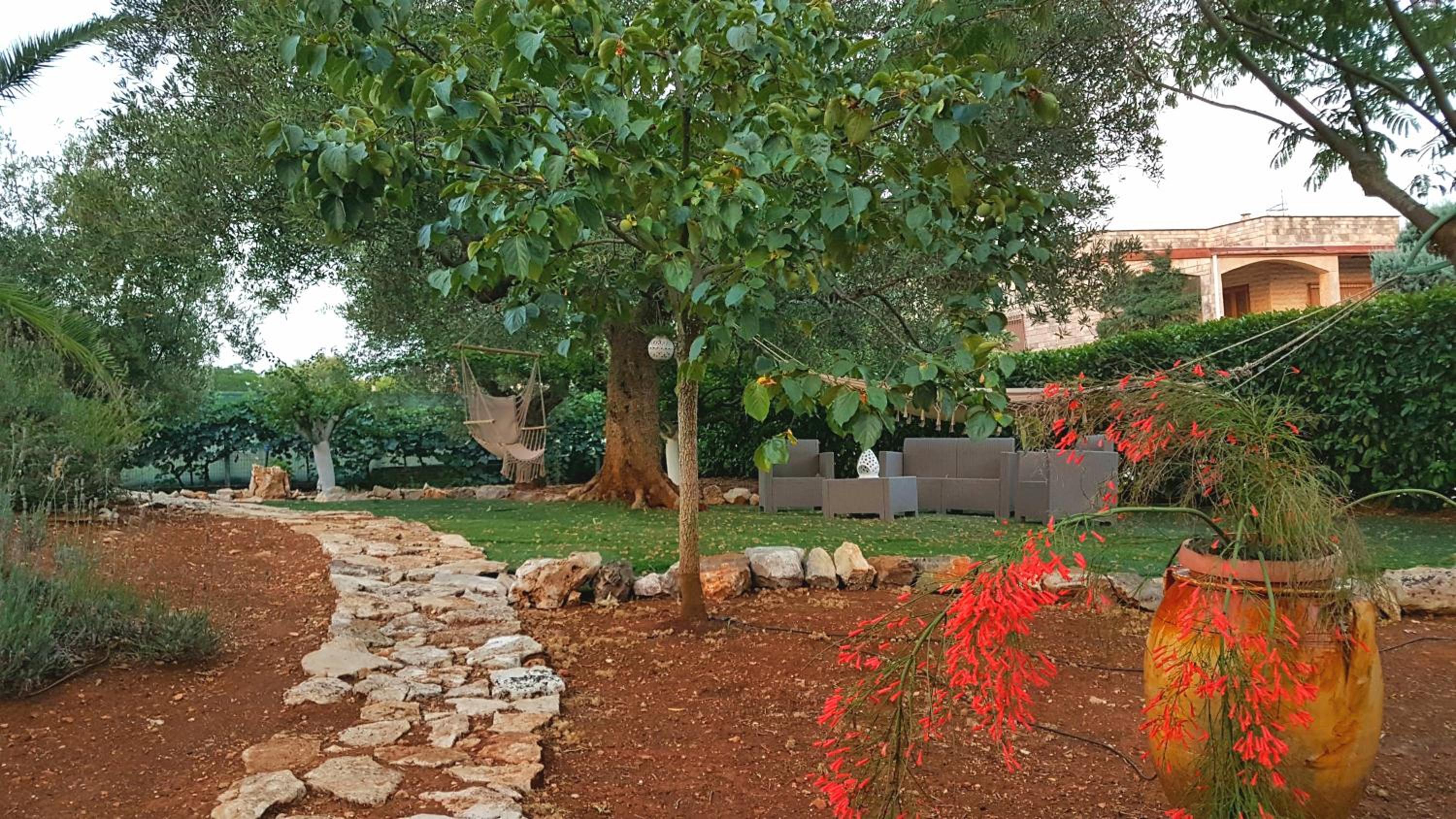 B&B All'ombra degli ulivi