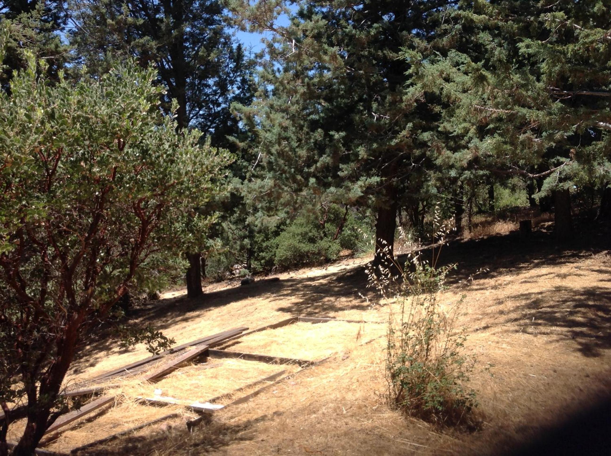 Photo 35