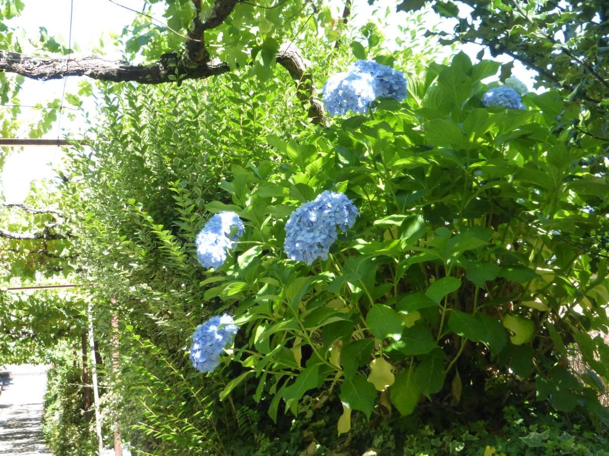 Photo 44