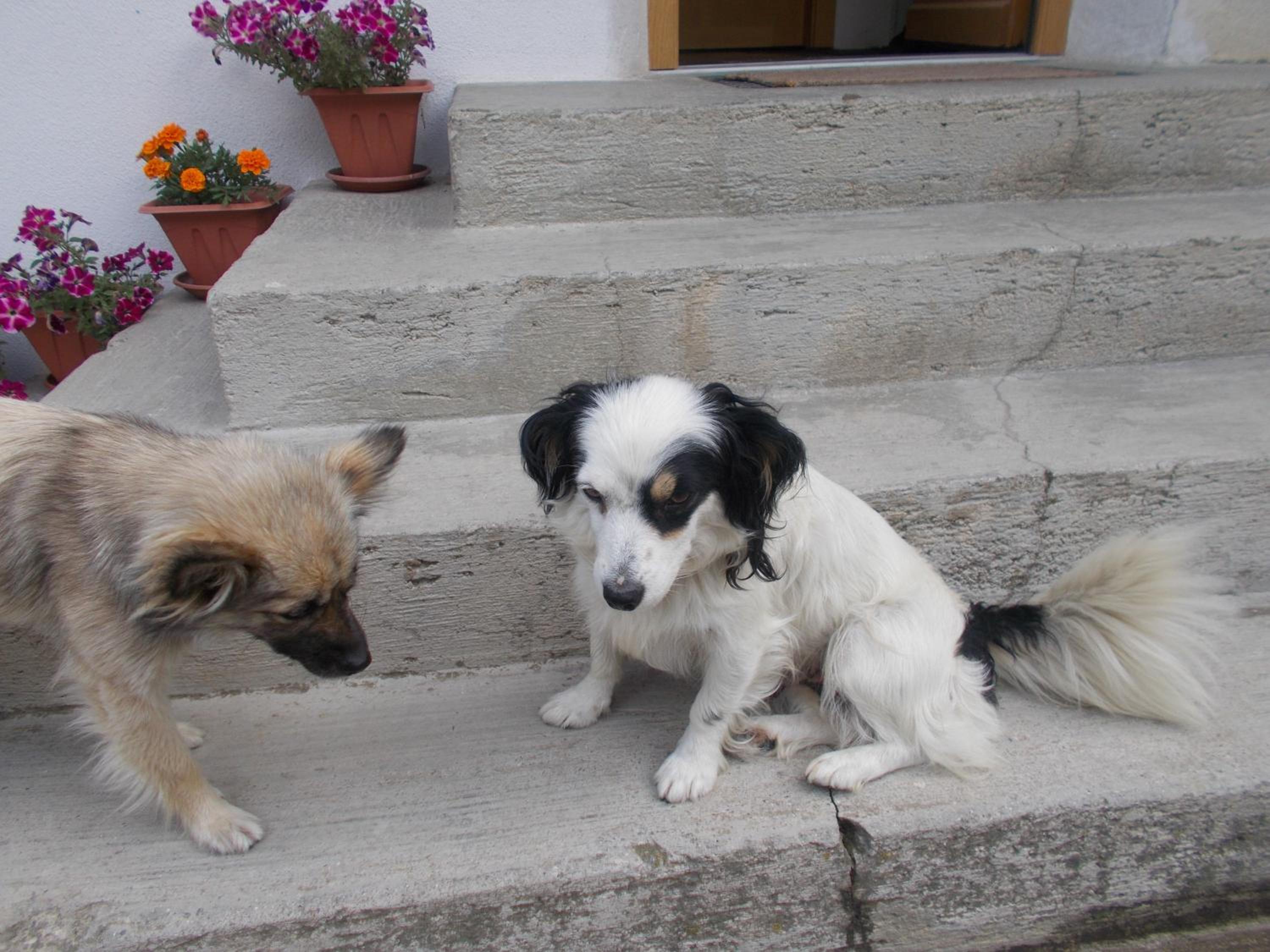 Photo 71