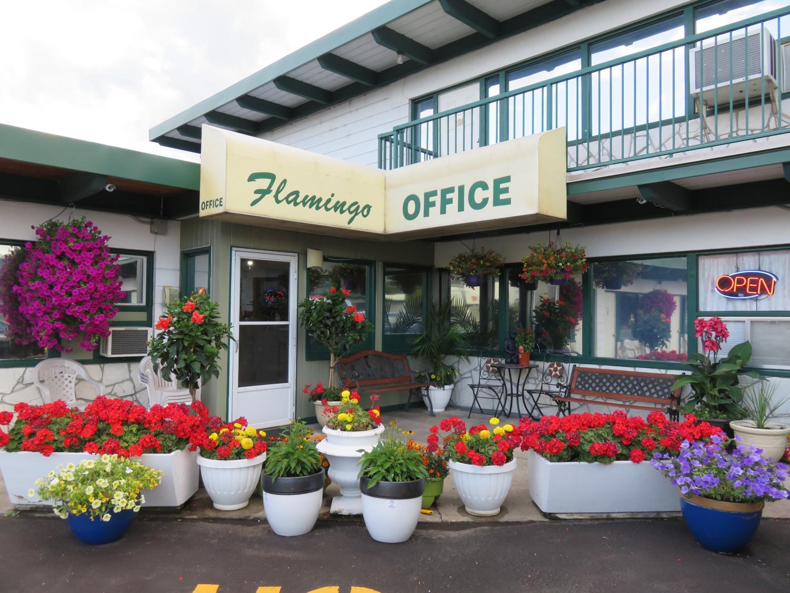 Flamingo Motel - Image 5