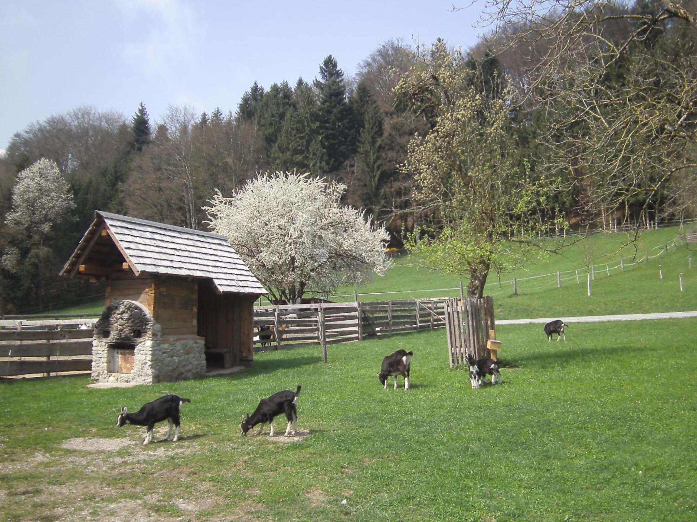 Bauernhof Kaspergut
