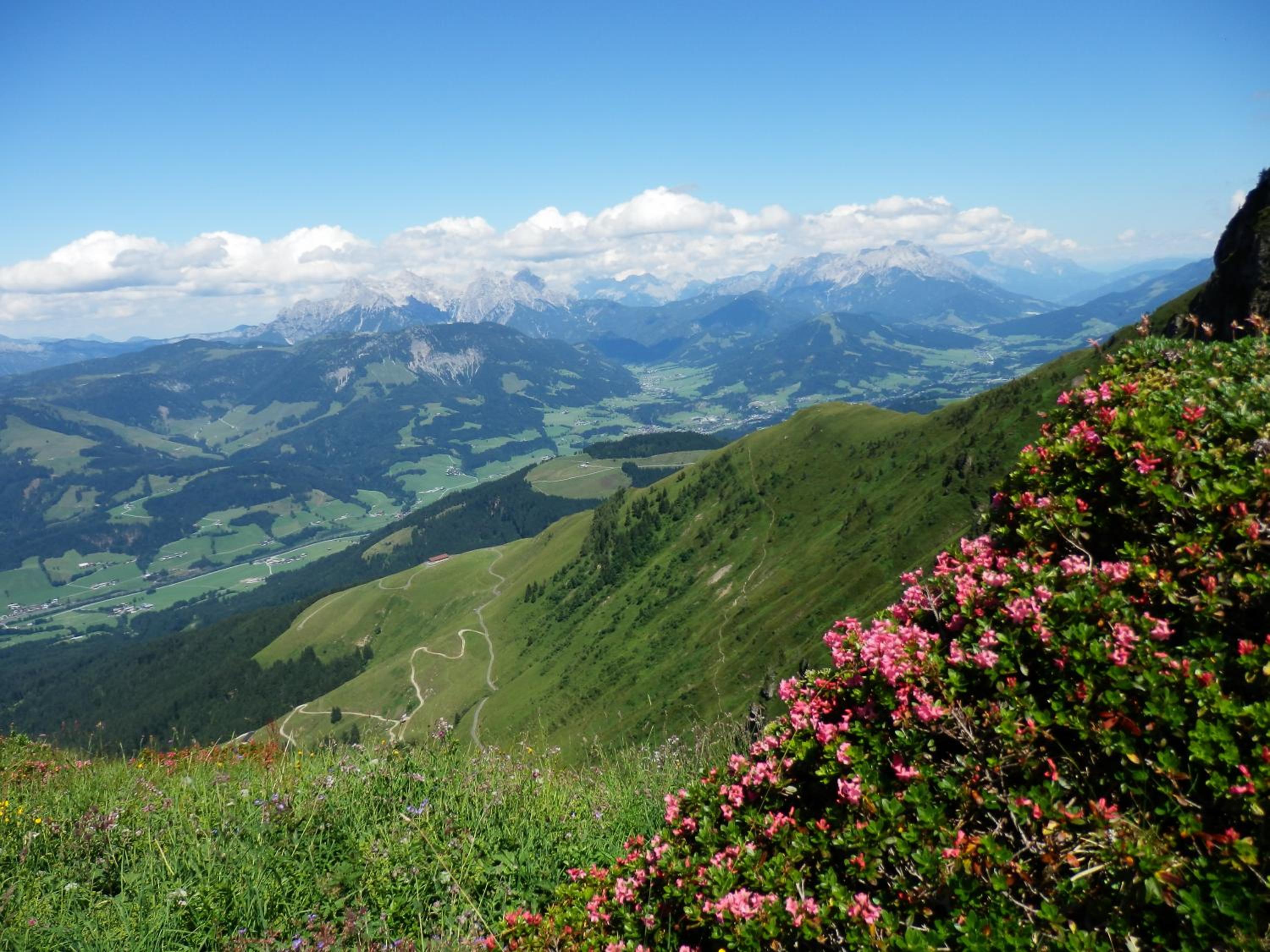 Alpenappartement Europa