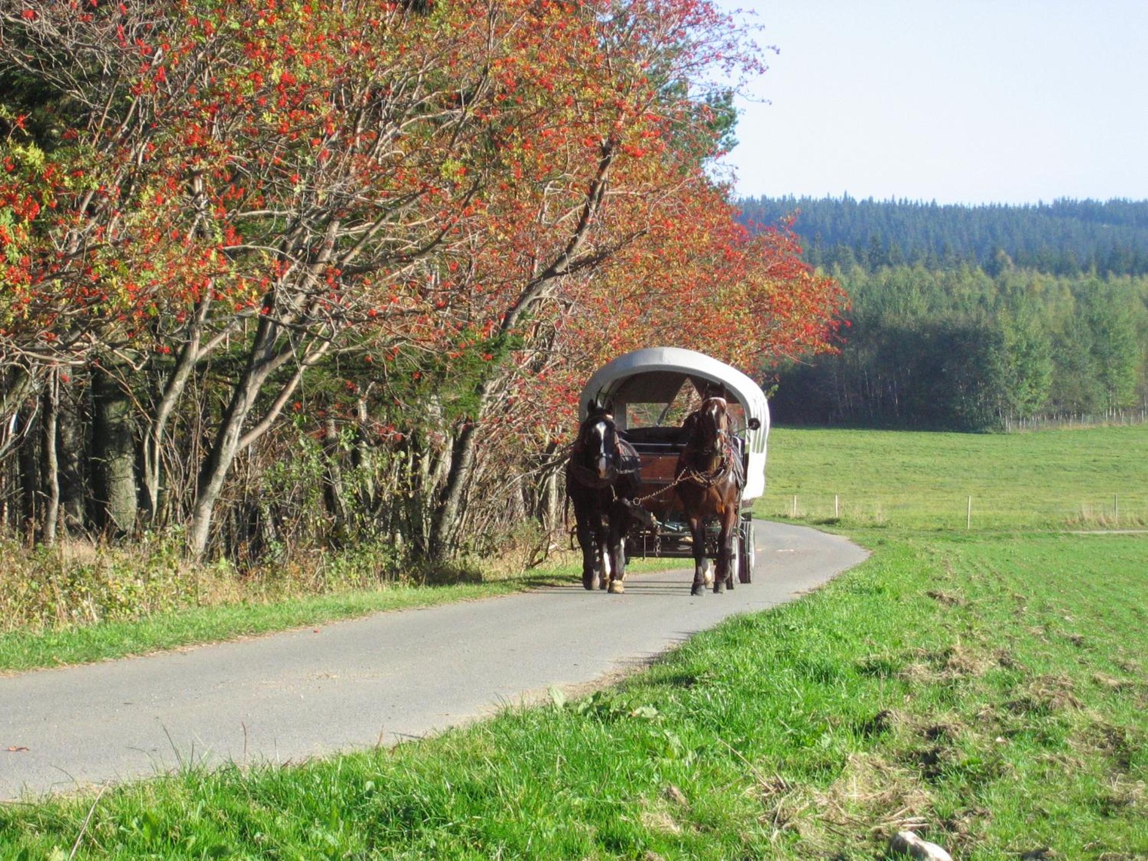 Ferienwohnung Keilbergpanorama