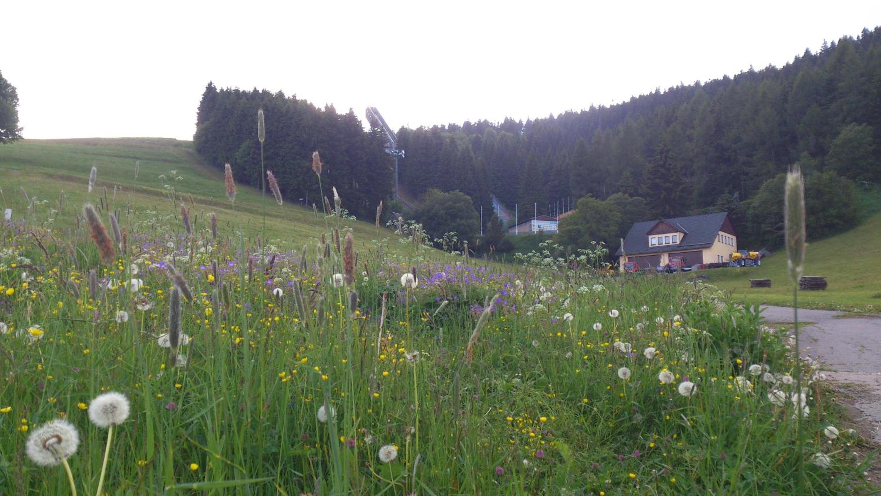 Ferienwohnung Keilbergpanorama