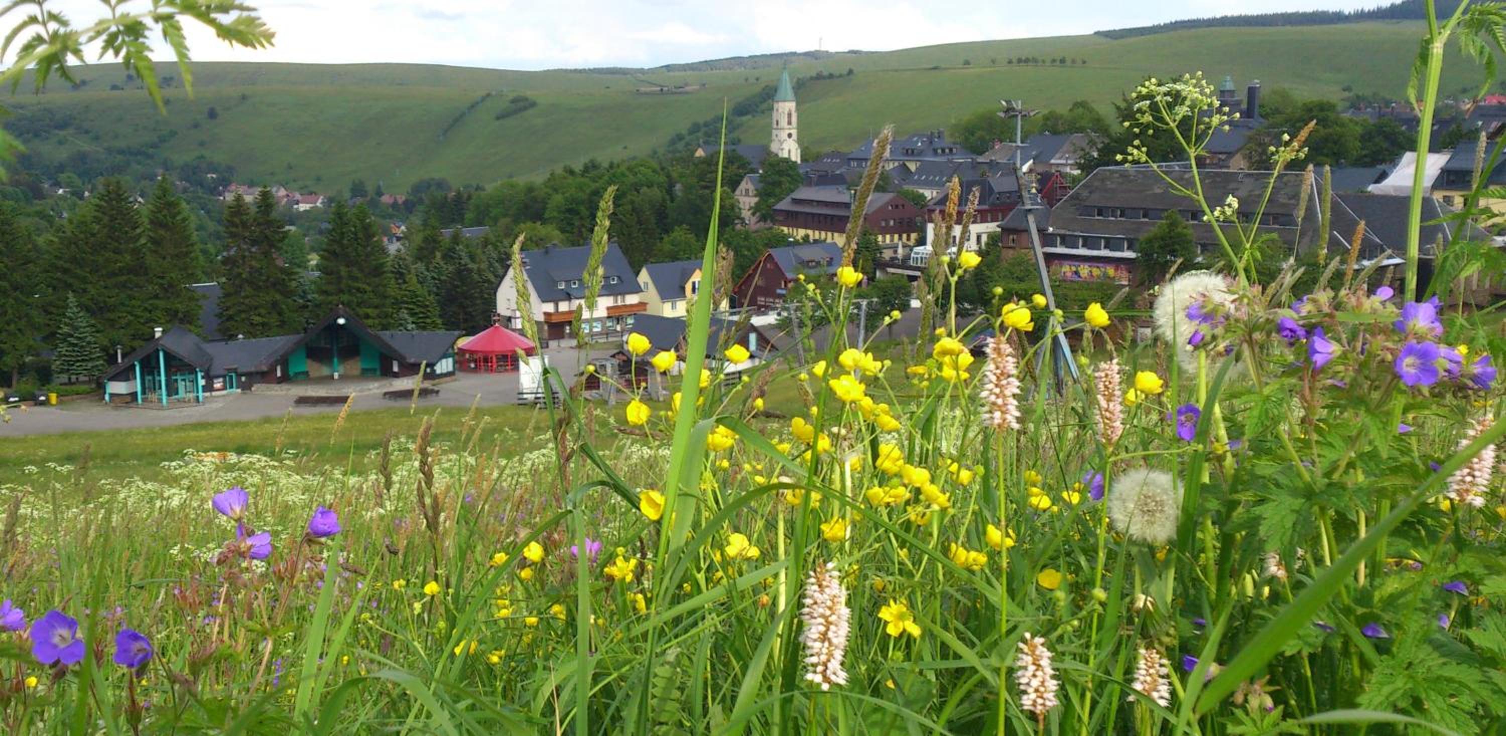 Ferienwohnung Keilbergpanorama